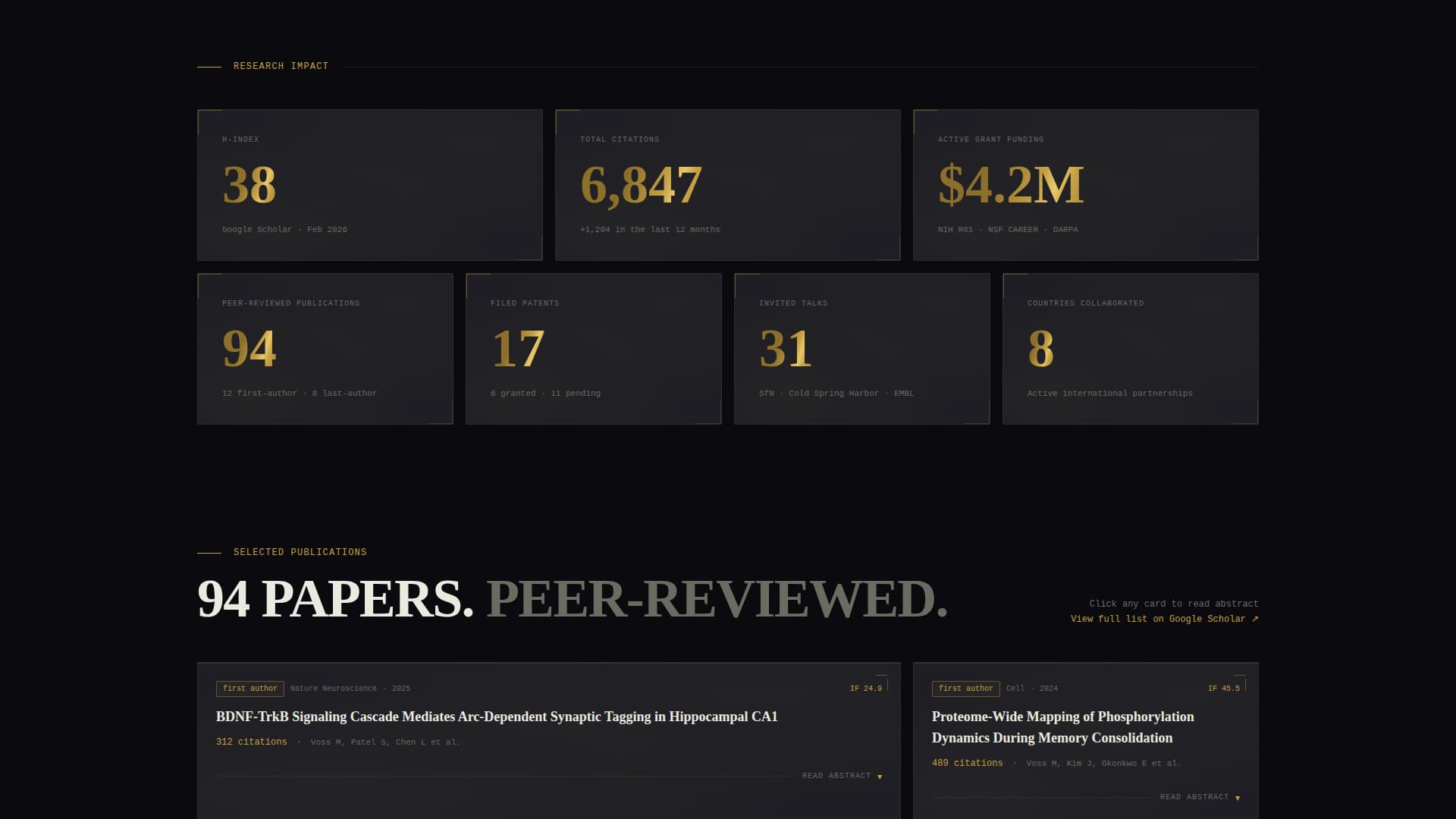 Academic & Research Profile Professional Website Template
