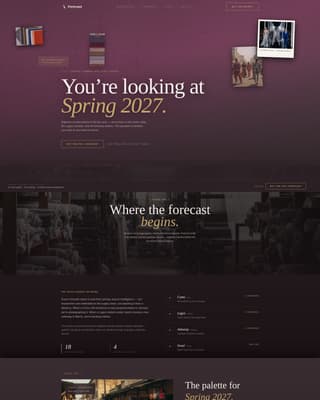 Specialist Fashion Tech & Innovation Pricing & Packages Website Template