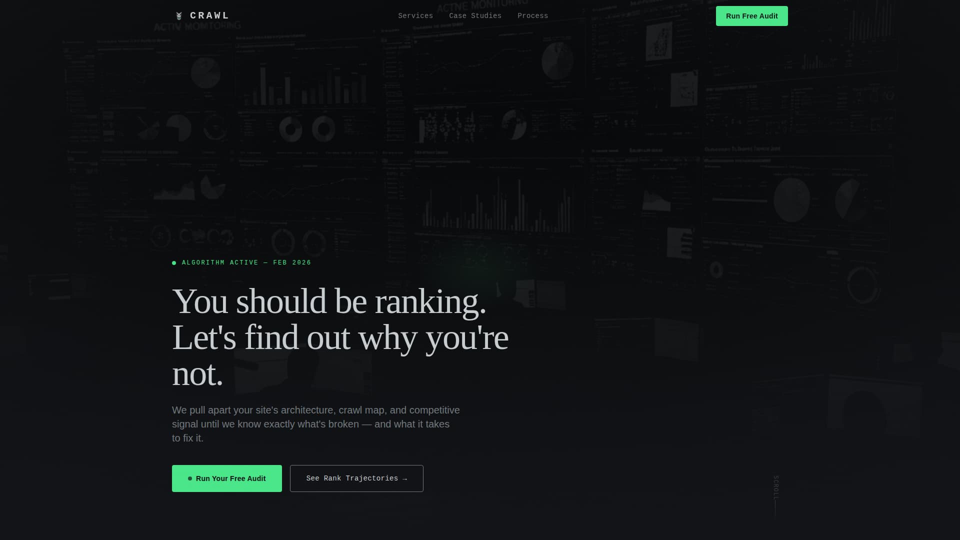 SEO Agency Domain Health Scanner Website Template
