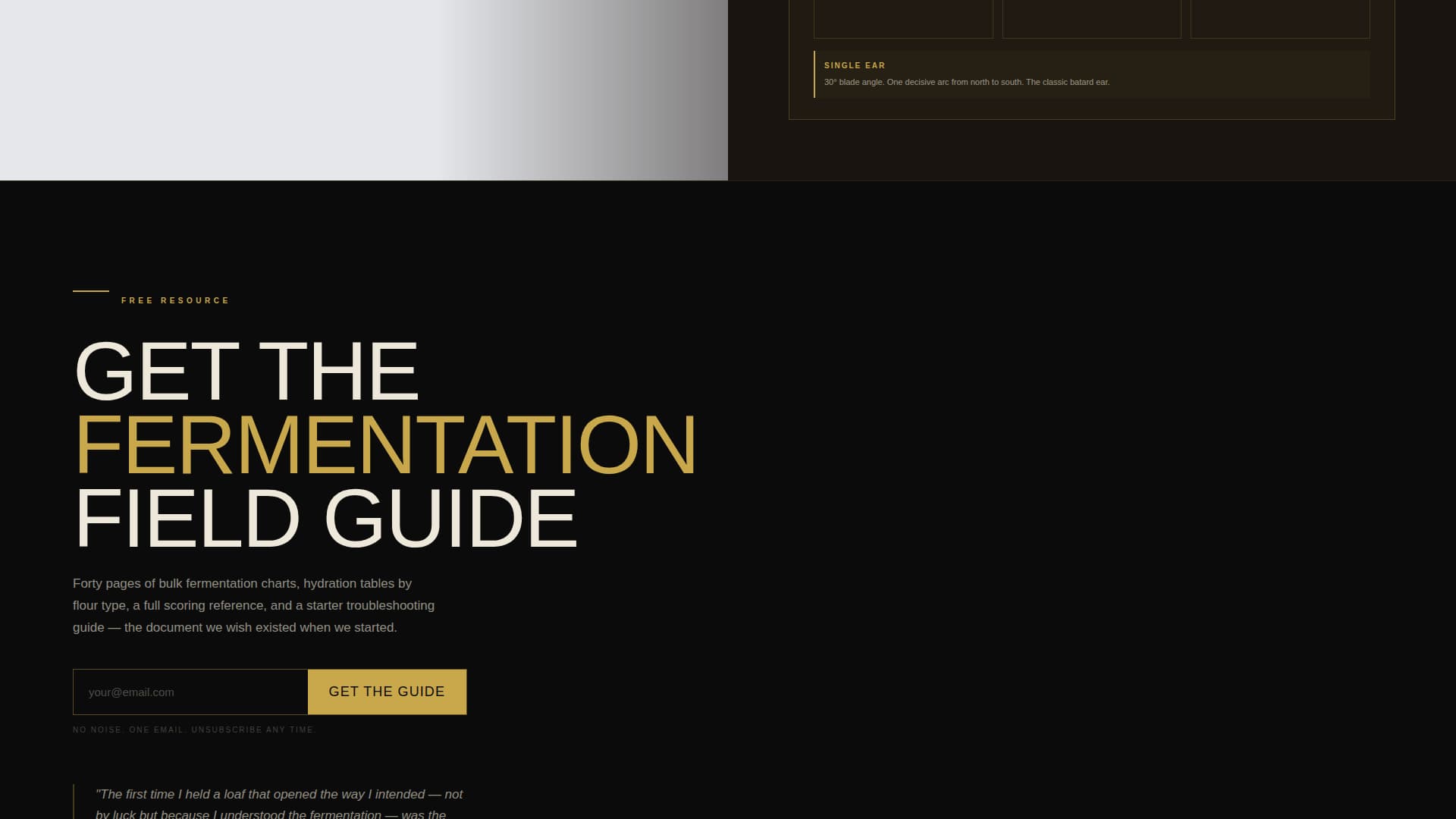 Leaven - Brutalist Sourdough Landing Page Template