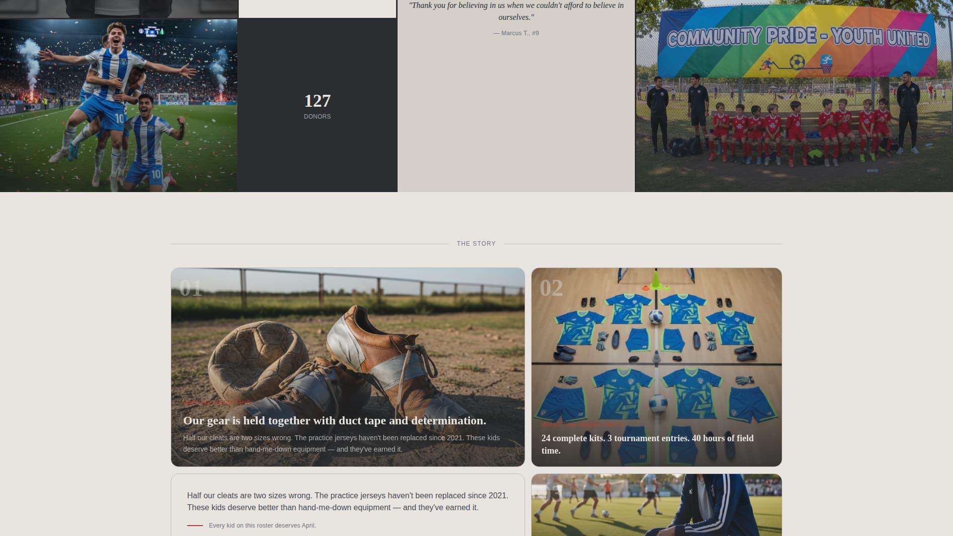Premium Charity & Fundraiser Profile Professional Website Template