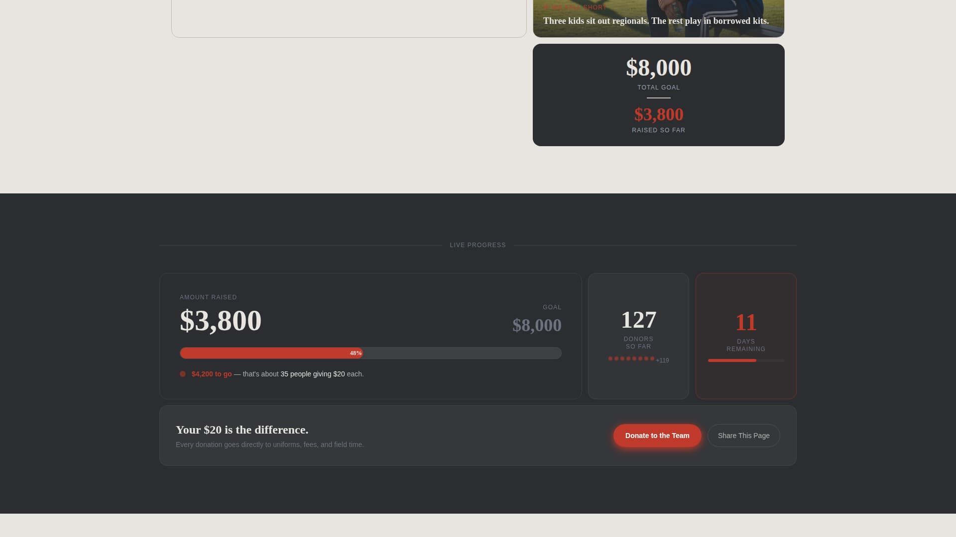 Premium Charity & Fundraiser Profile Professional Website Template