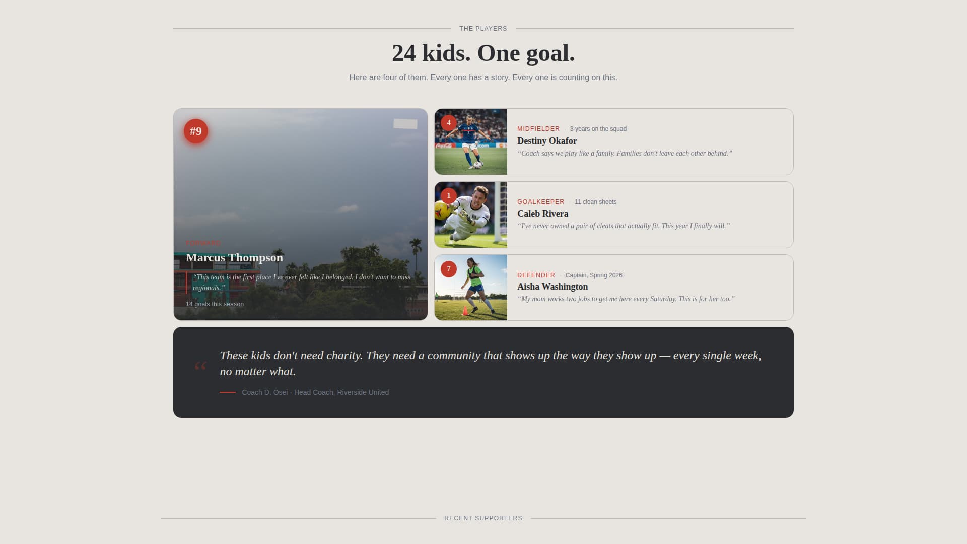 Premium Charity & Fundraiser Profile Professional Website Template