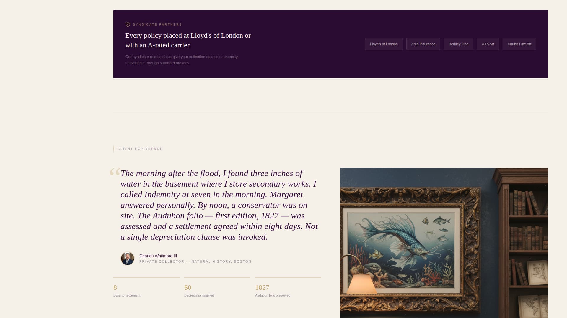 Specialty Insurance Professional Website Template