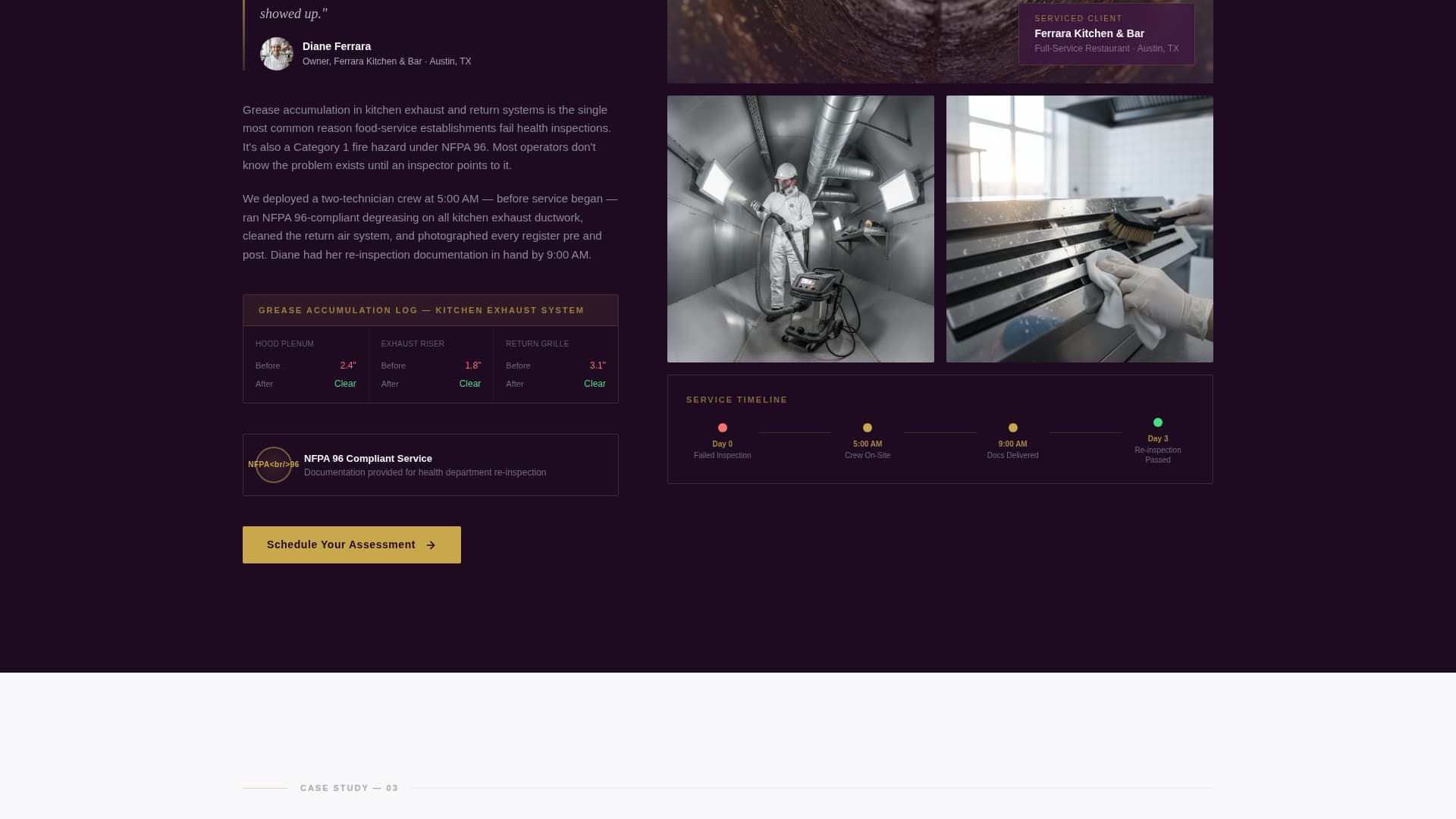 Specialty Cleaning Appointment Booking Website Template
