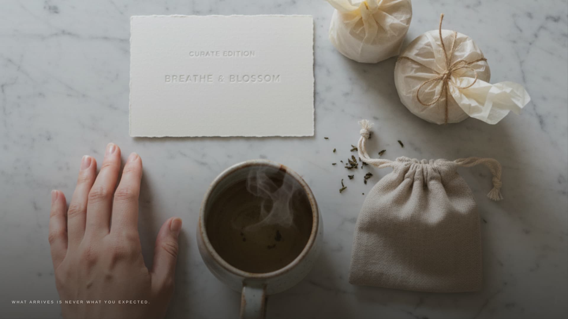 Curate - Avantgarde Subscription Landing Page Template