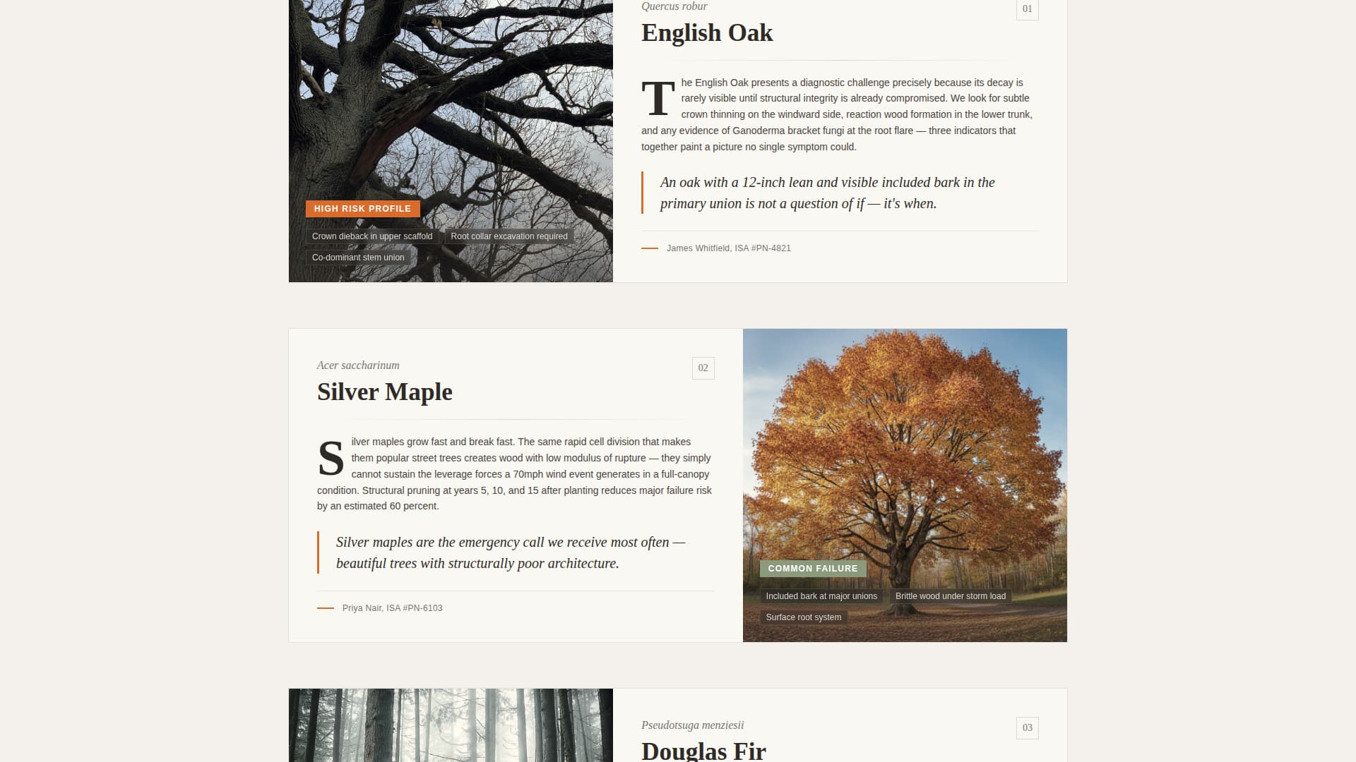 Specialist Arborist Appointment Booking Website Template