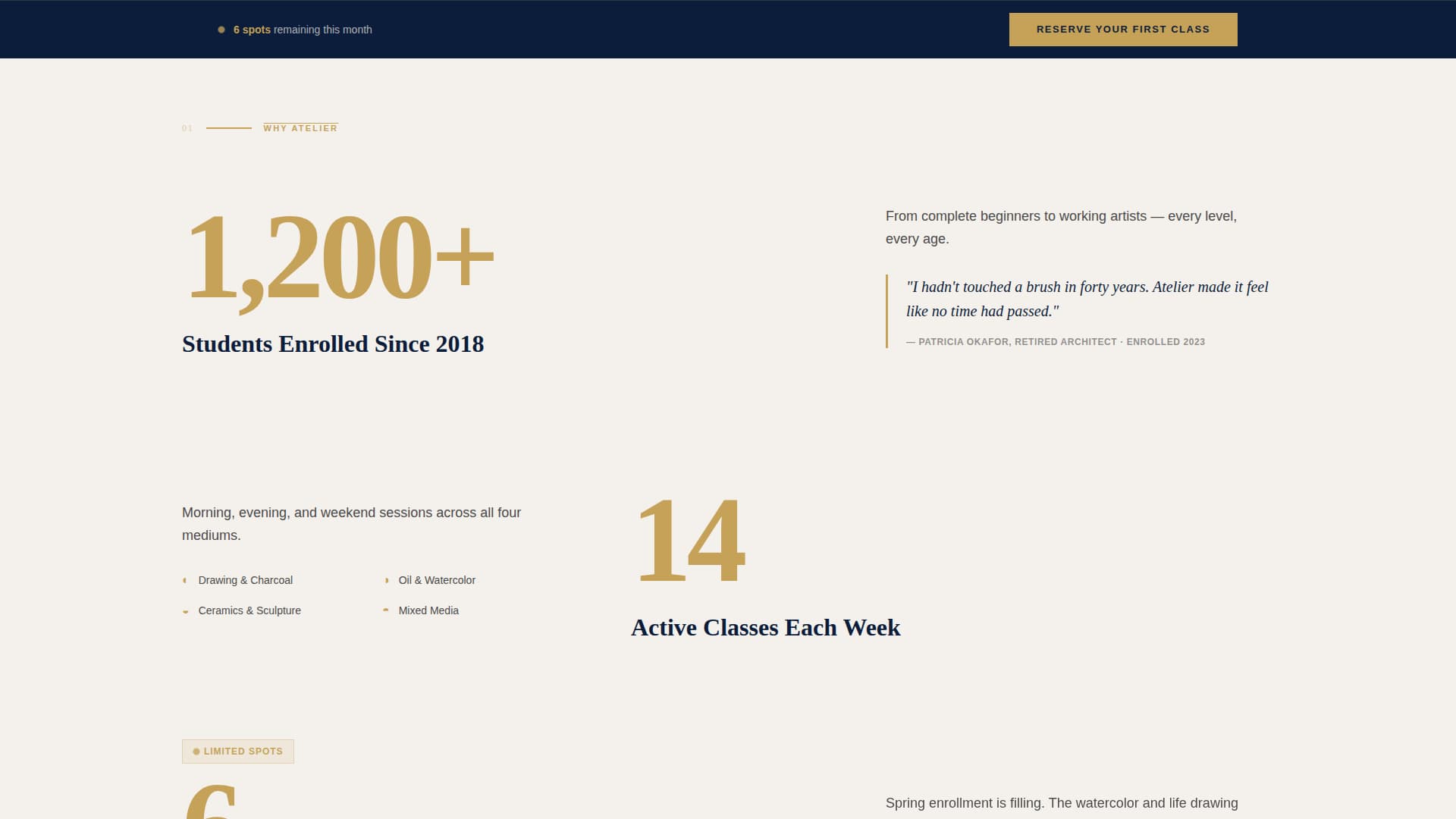 Art School Marketing Portfolio & Case Study Website Template