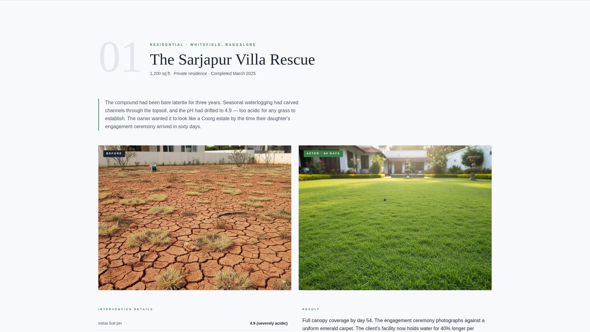 Turf - Elite Lawncare Landing Page Template