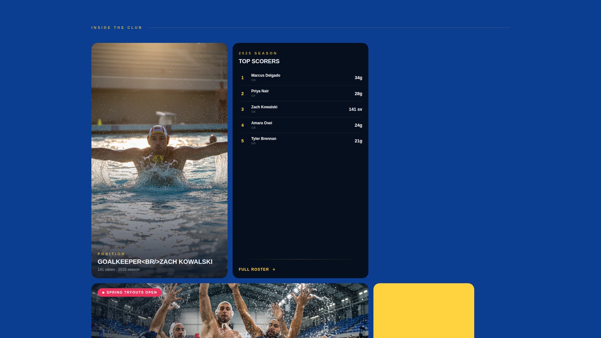 Surge - Competitive Waterpolo Landing Page Template