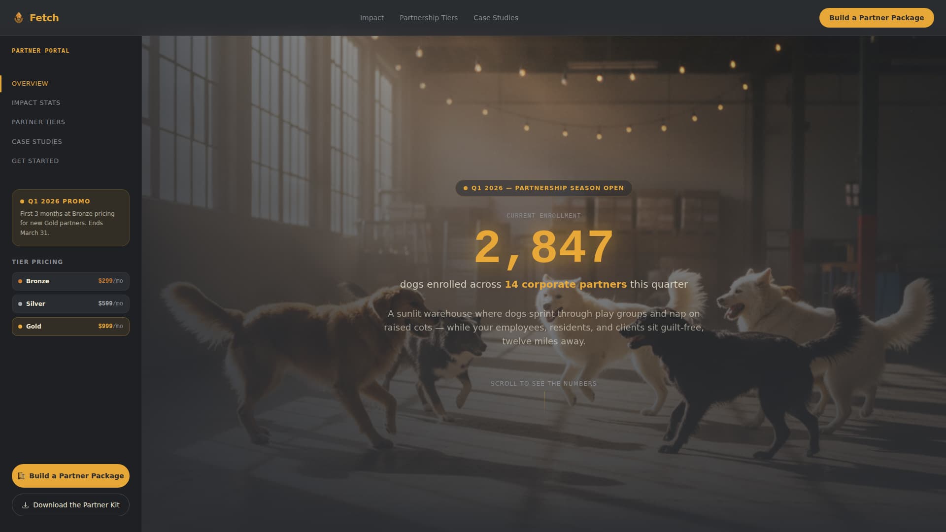 Fetch - Seasonal Dogdaycare Landing Page Template