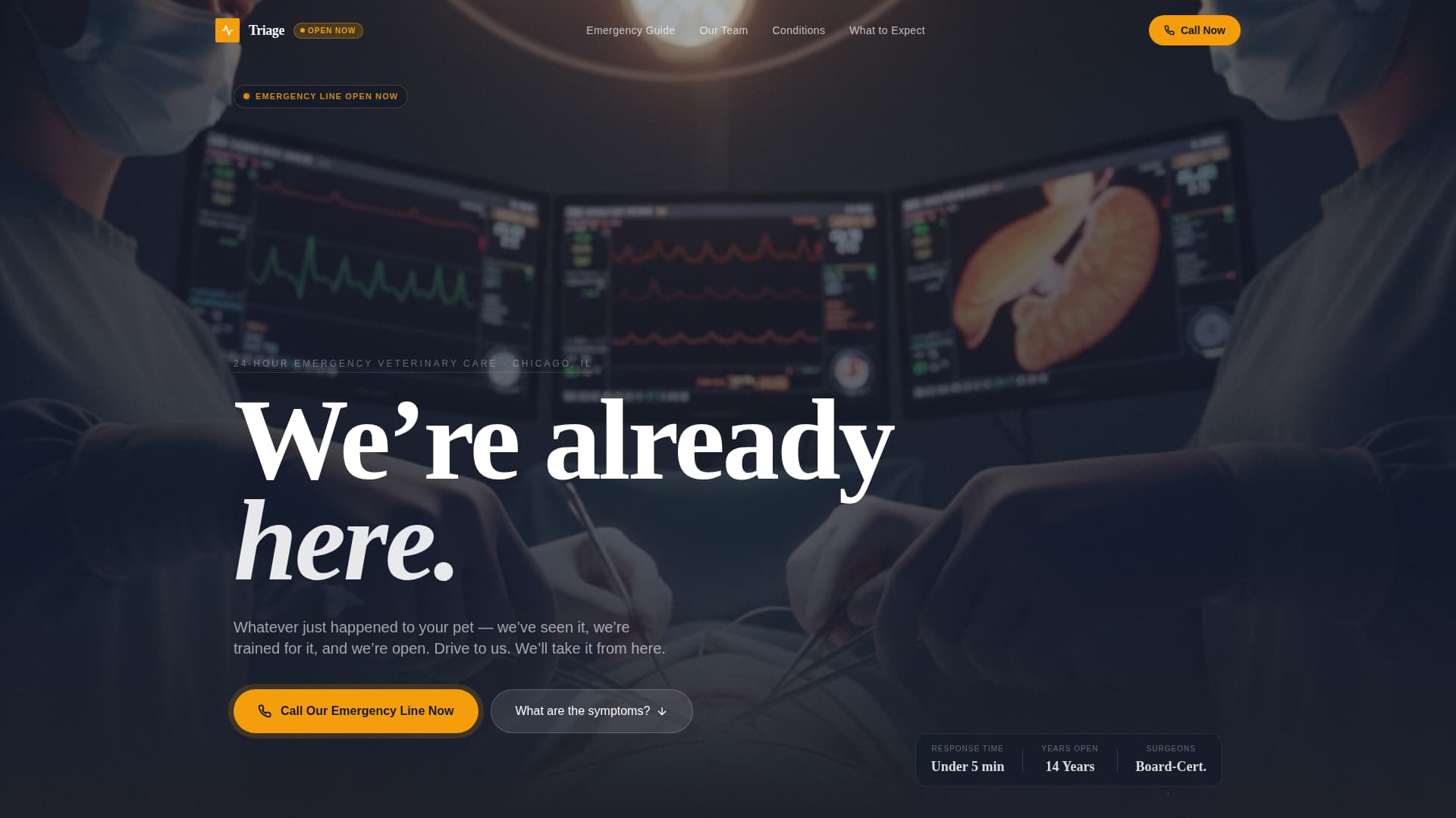 Care — 24/7 Emergency Vet Clinic Landing Page Template