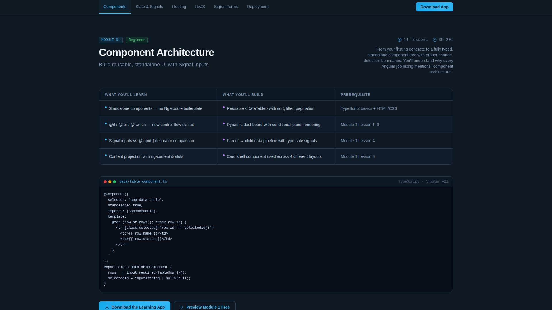 Developer Documentation Directory Website Template