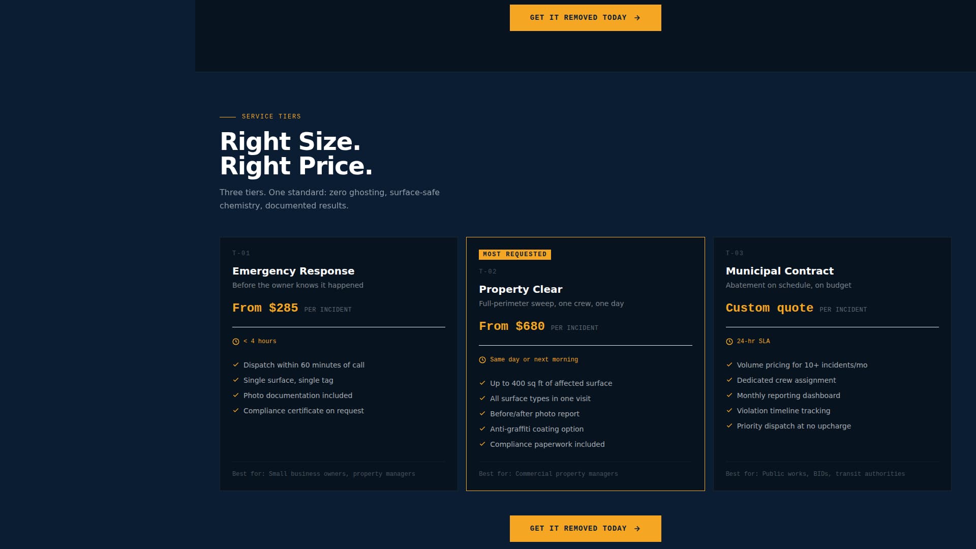 Specialist Specialty Cleaning Professional Website Template