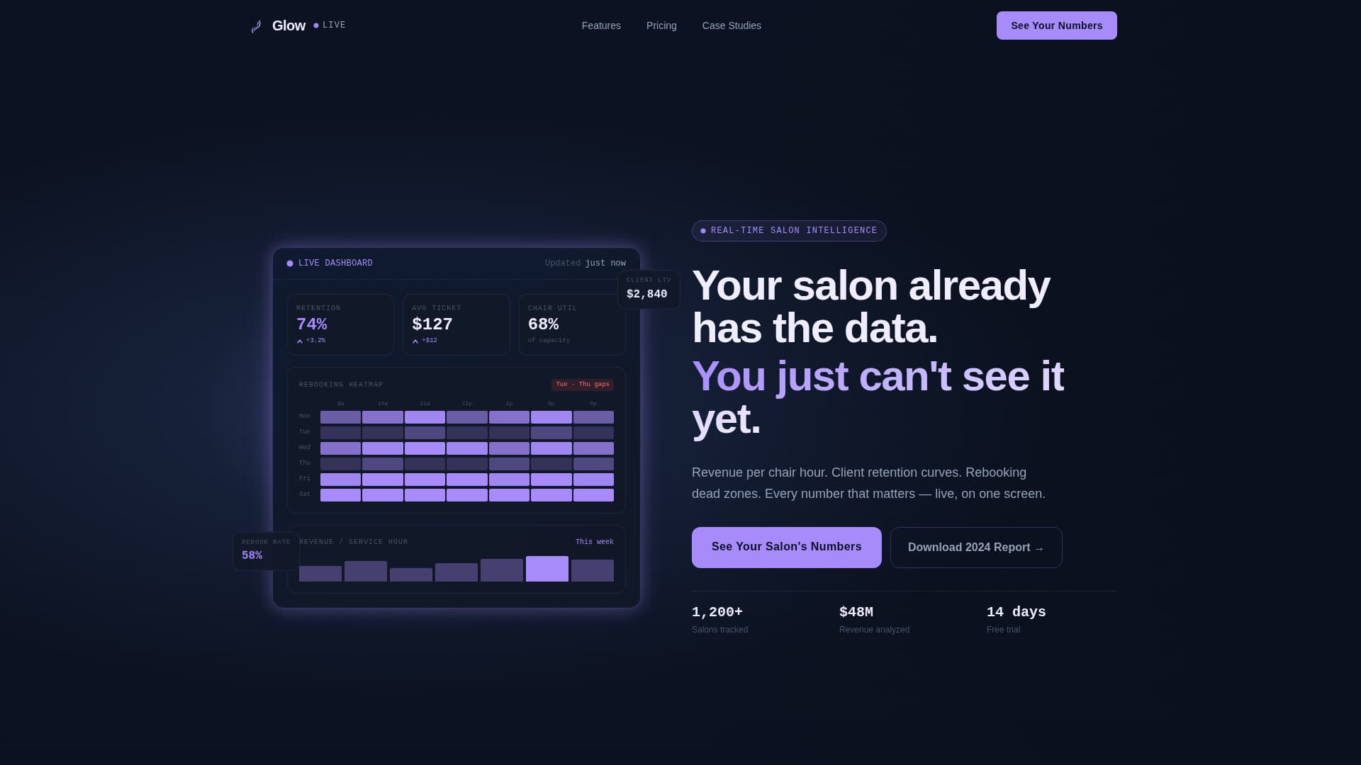 Beauty & Salon Software & SaaS Professional Website Template