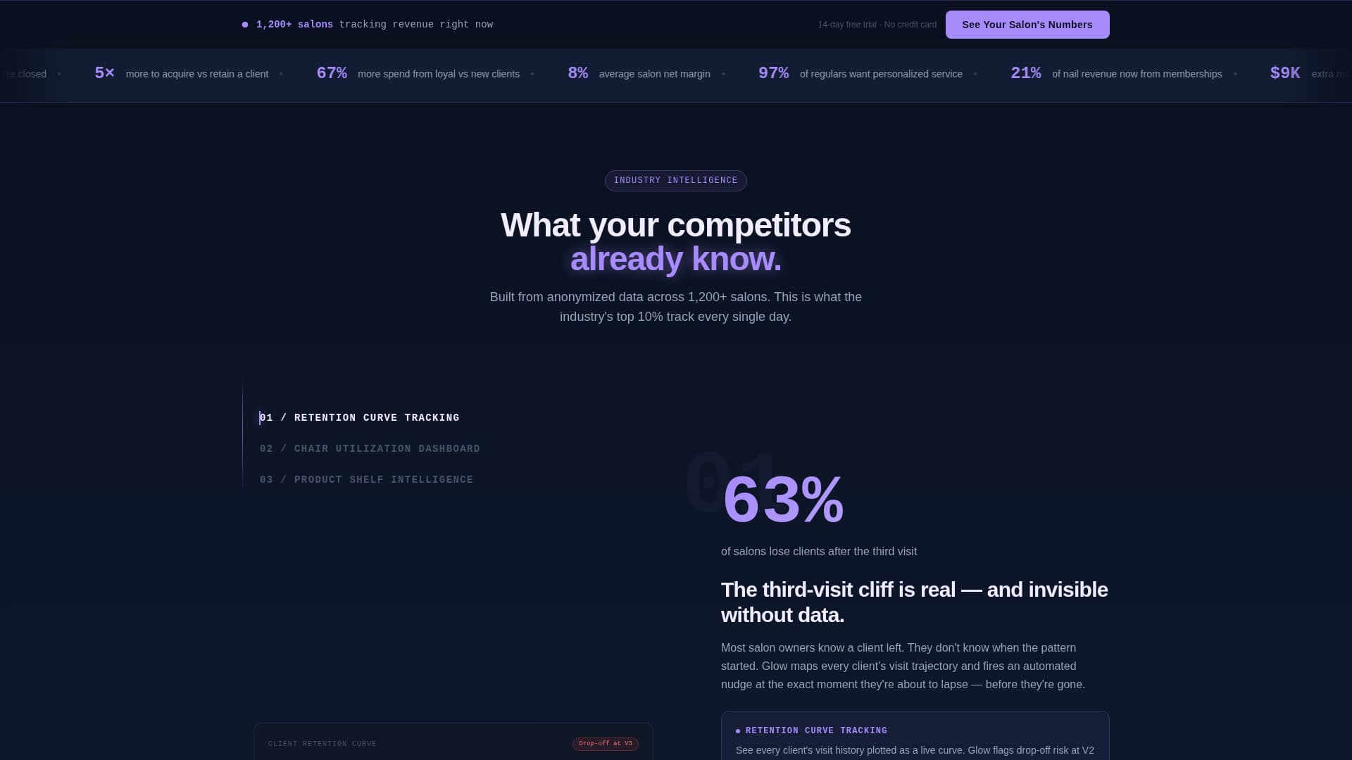 Beauty & Salon Software & SaaS Professional Website Template