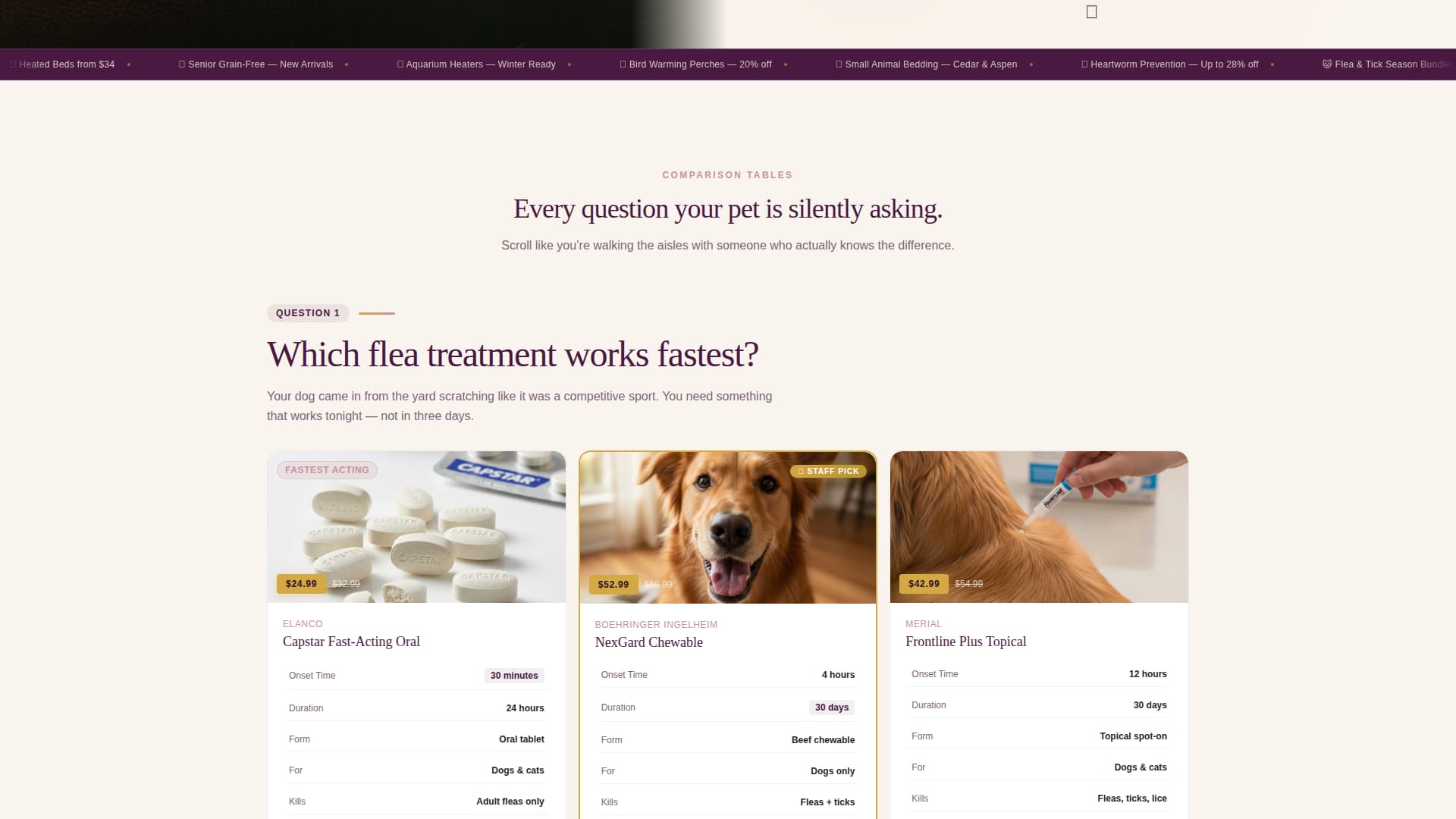 Fetch - Seasonal Petcare Landing Page Template