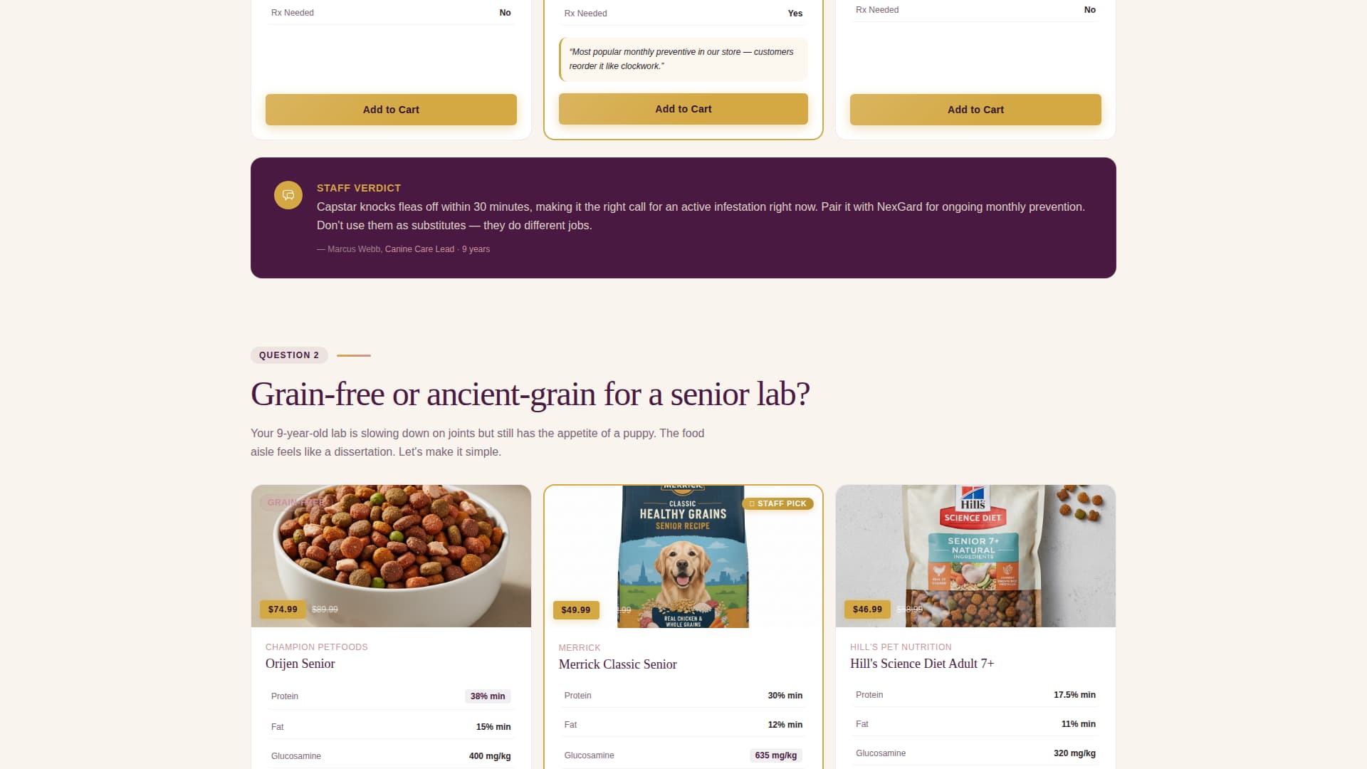 Fetch - Seasonal Petcare Landing Page Template