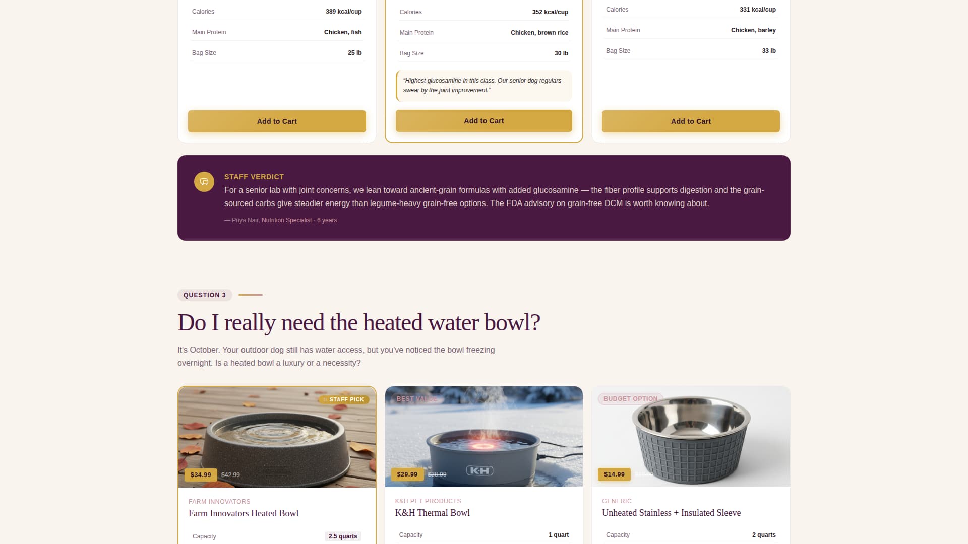 Fetch - Seasonal Petcare Landing Page Template