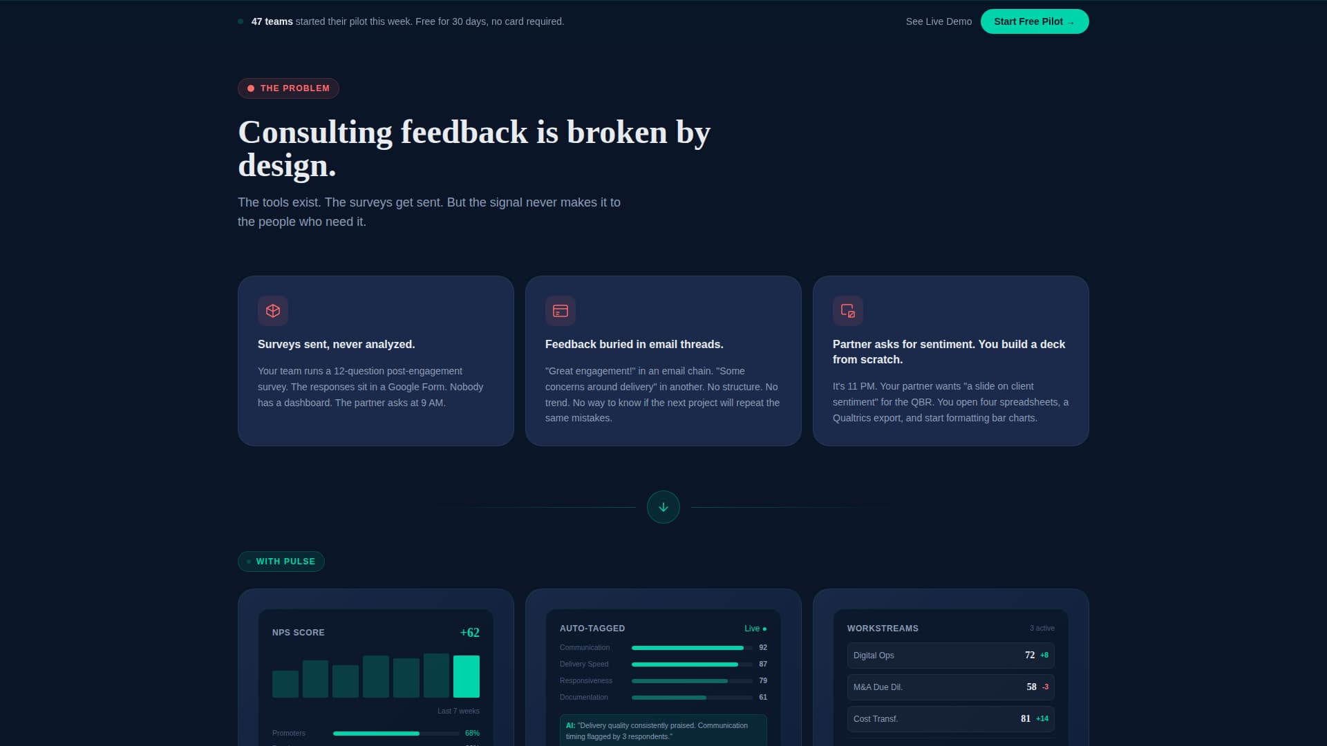 Certified Consulting Firm Software Professional Website Template