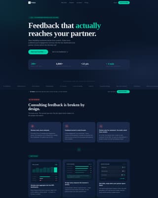 Certified Consulting Firm Software Professional Website Template