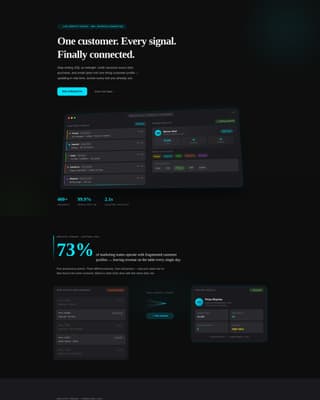 Software & SaaS Professional Website Template