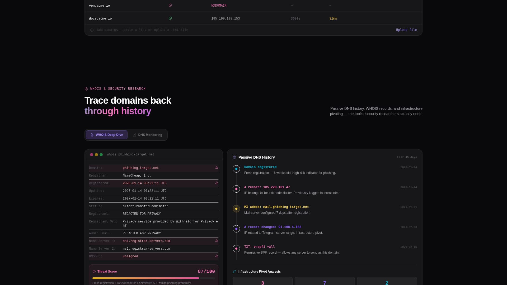 Micro-SaaS & Developer Tools Professional Website Template