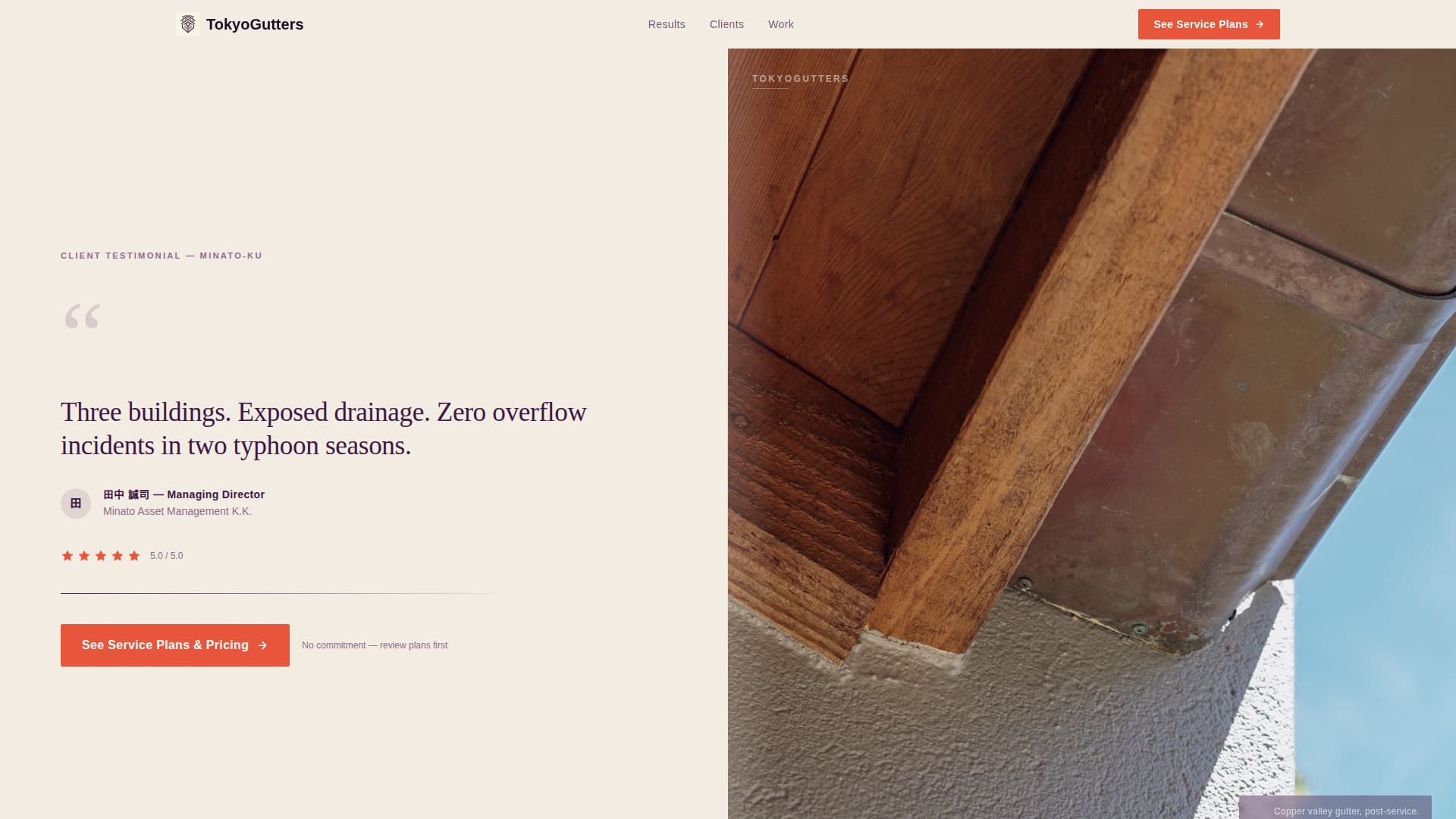 Toi - Authoritative Drainage Landing Page Template
