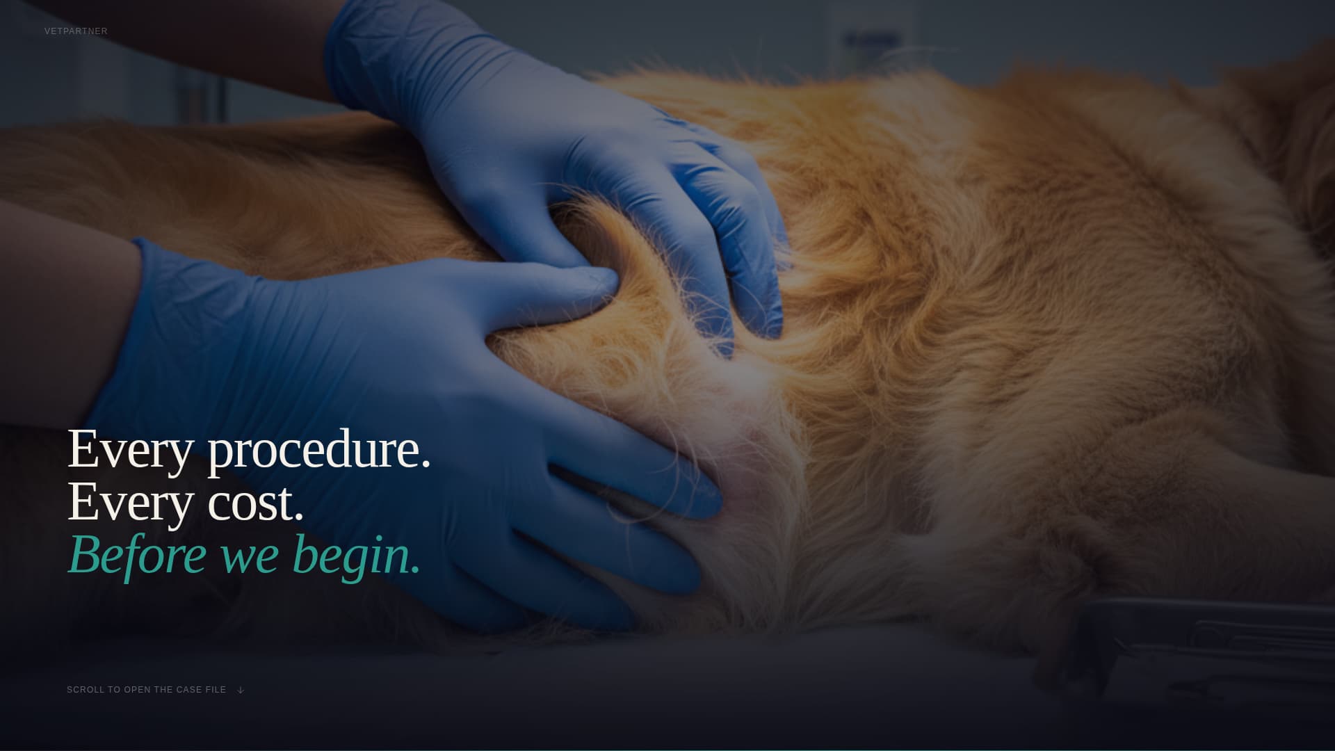 Veterinary Clinic Marketing Directory Website Template