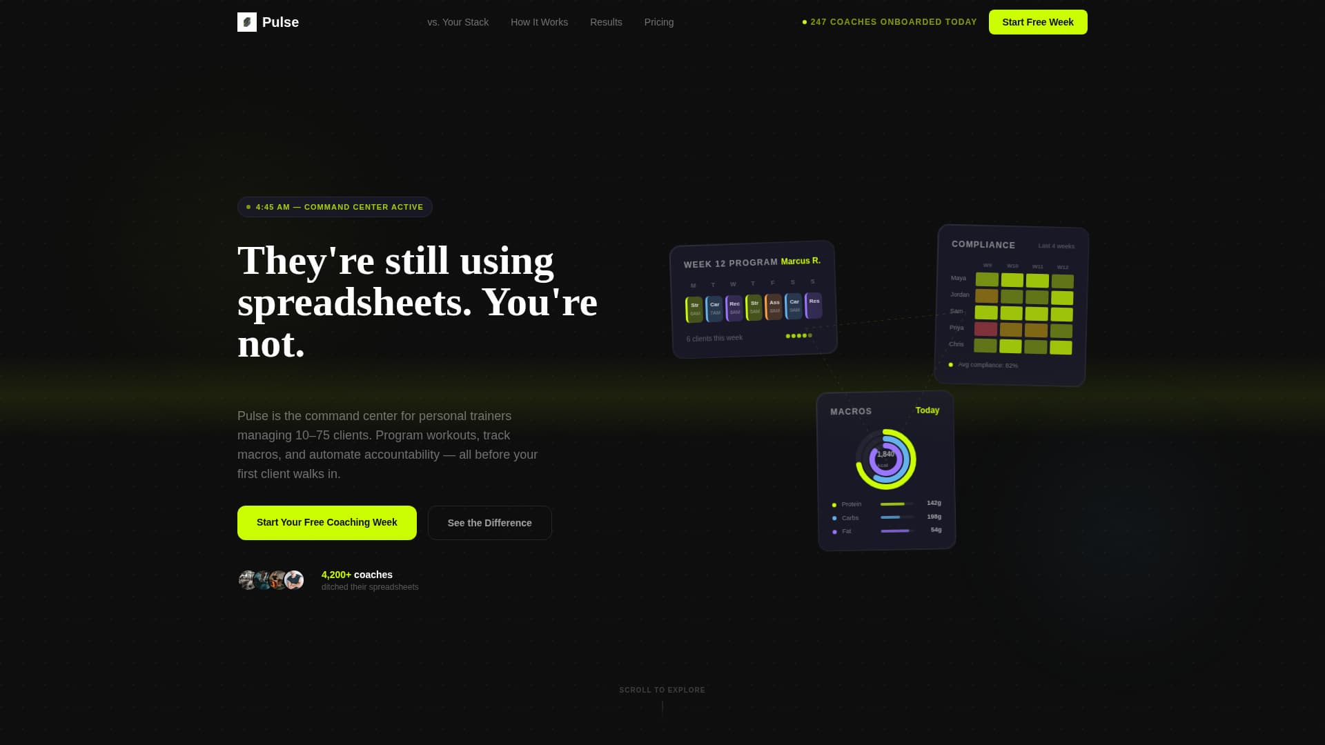 Fitness Software & SaaS Specialist Professional Website Template