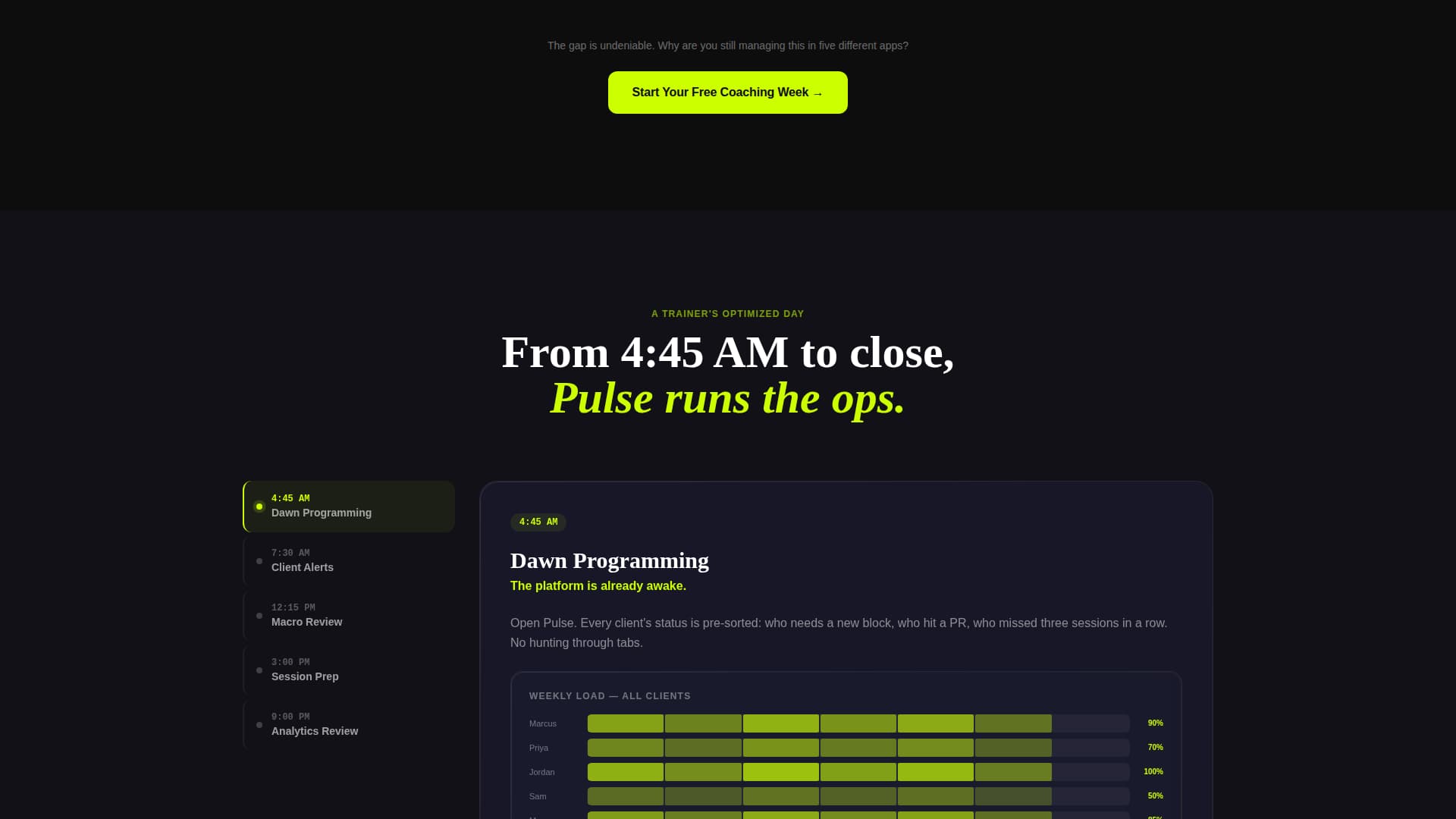 Fitness Software & SaaS Specialist Professional Website Template