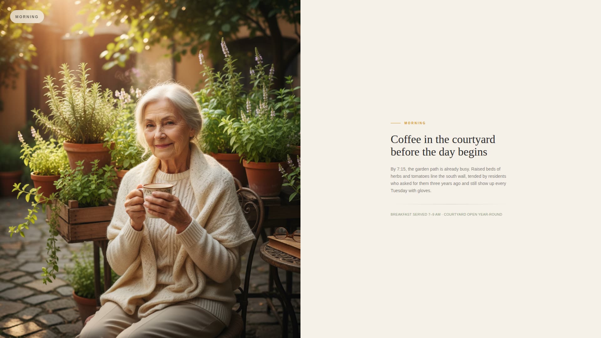 Haven - Trusted Seniorliving Landing Page Template