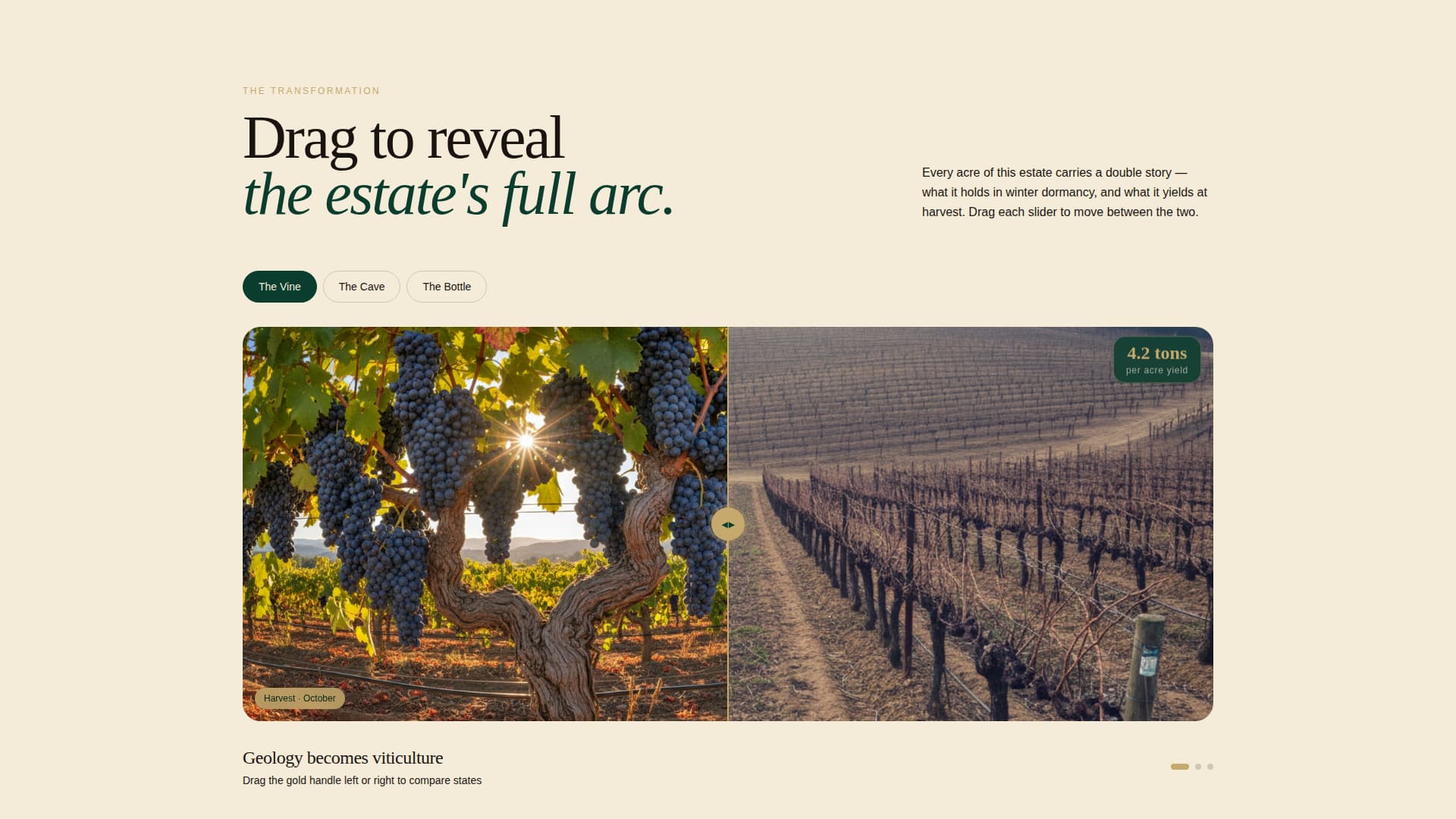 Terroir - Prestigious Vineyard Landing Page Template