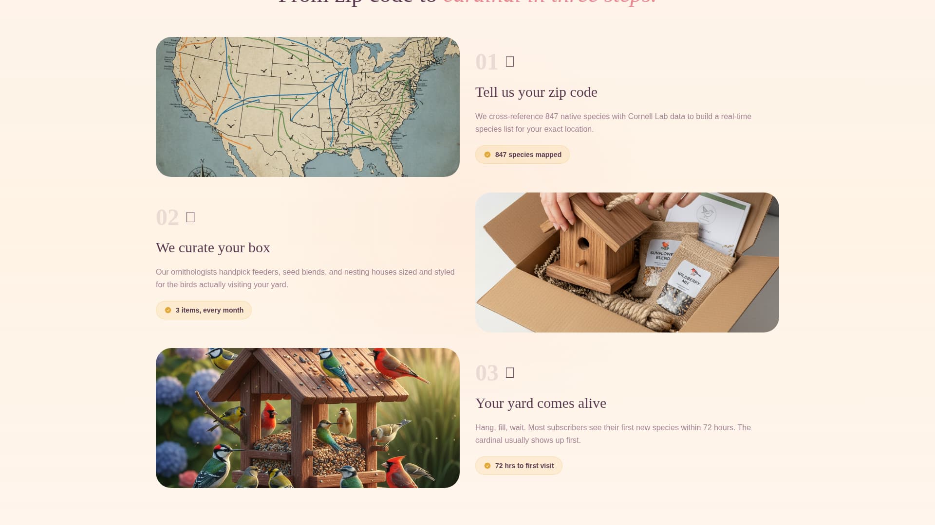 Advanced Baby & Kids E-Commerce Professional Website Template