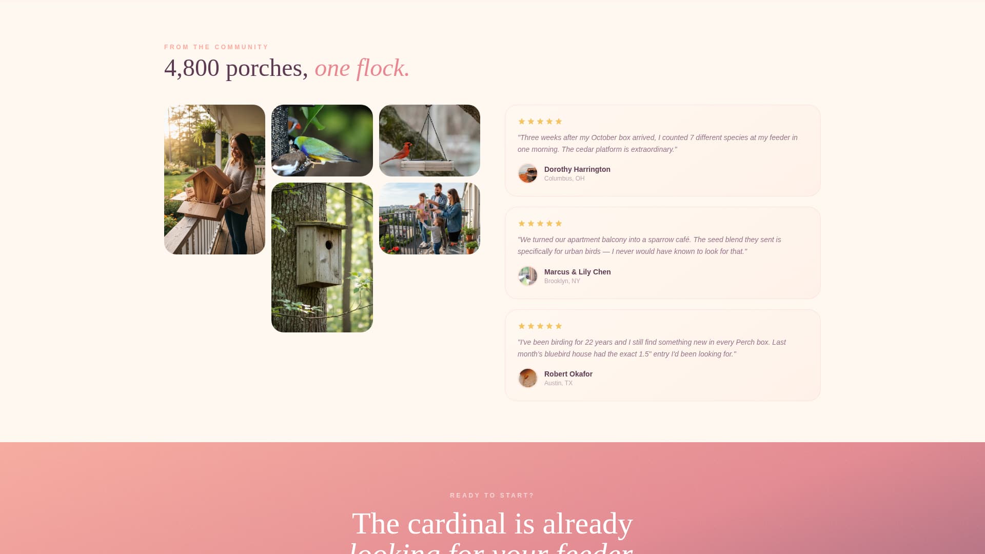 Advanced Baby & Kids E-Commerce Professional Website Template
