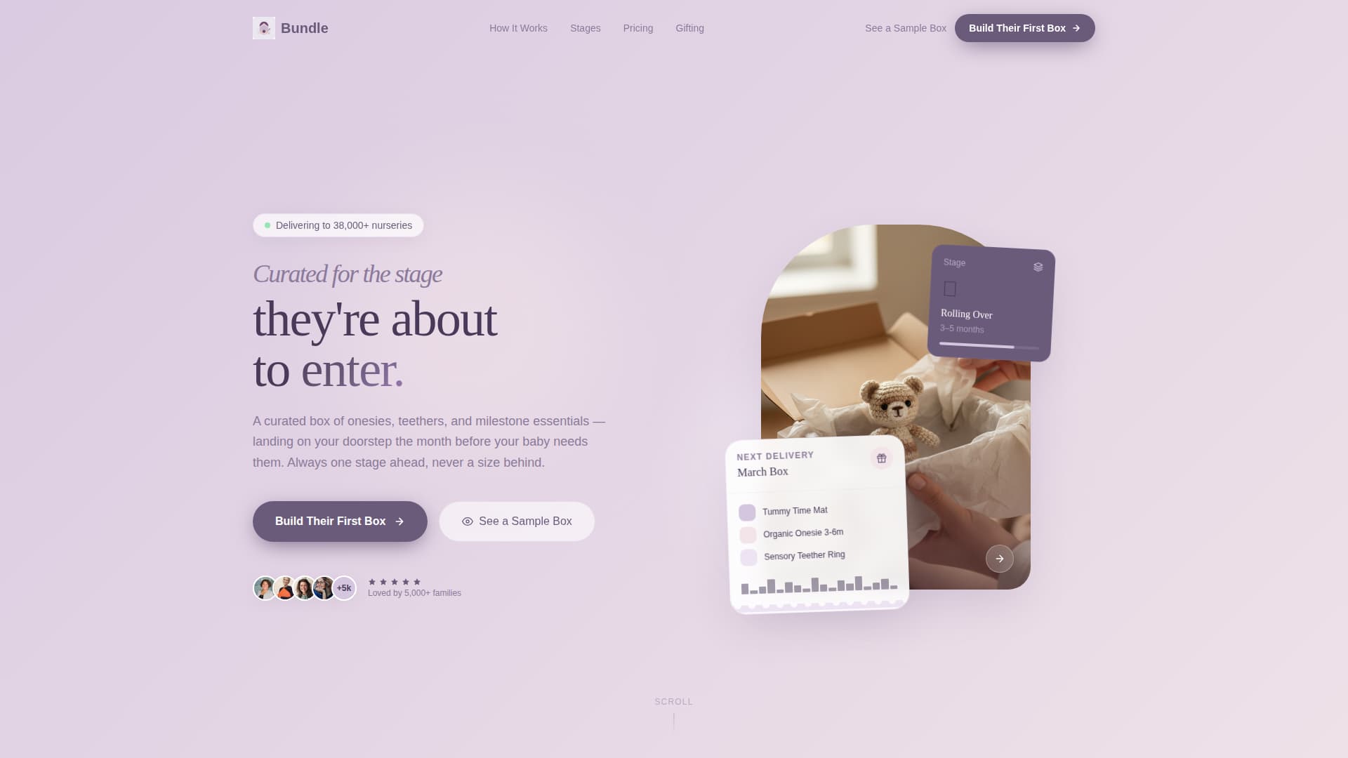 Specialist Subscription Box Services Professional Website Template