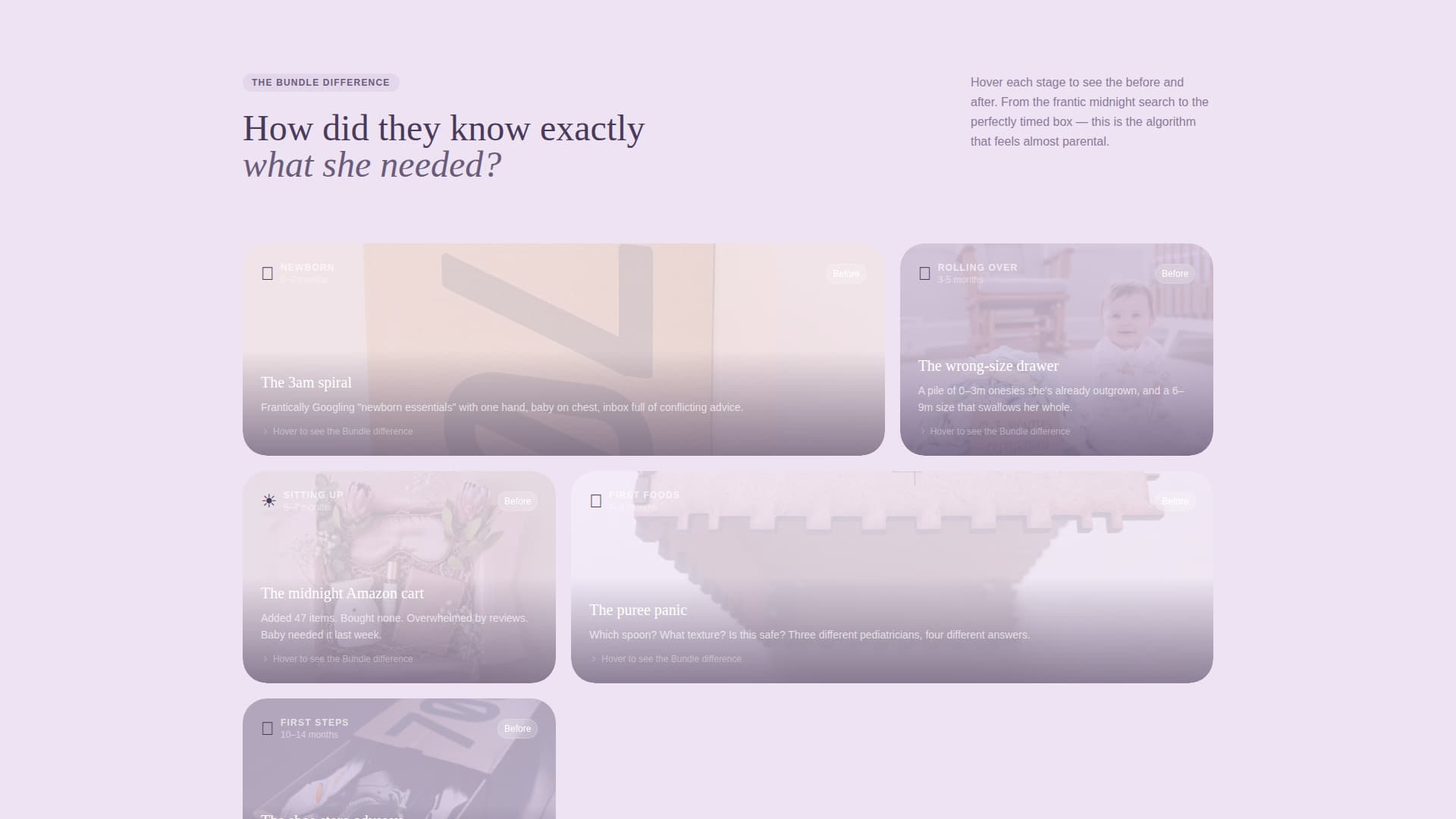 Specialist Subscription Box Services Professional Website Template