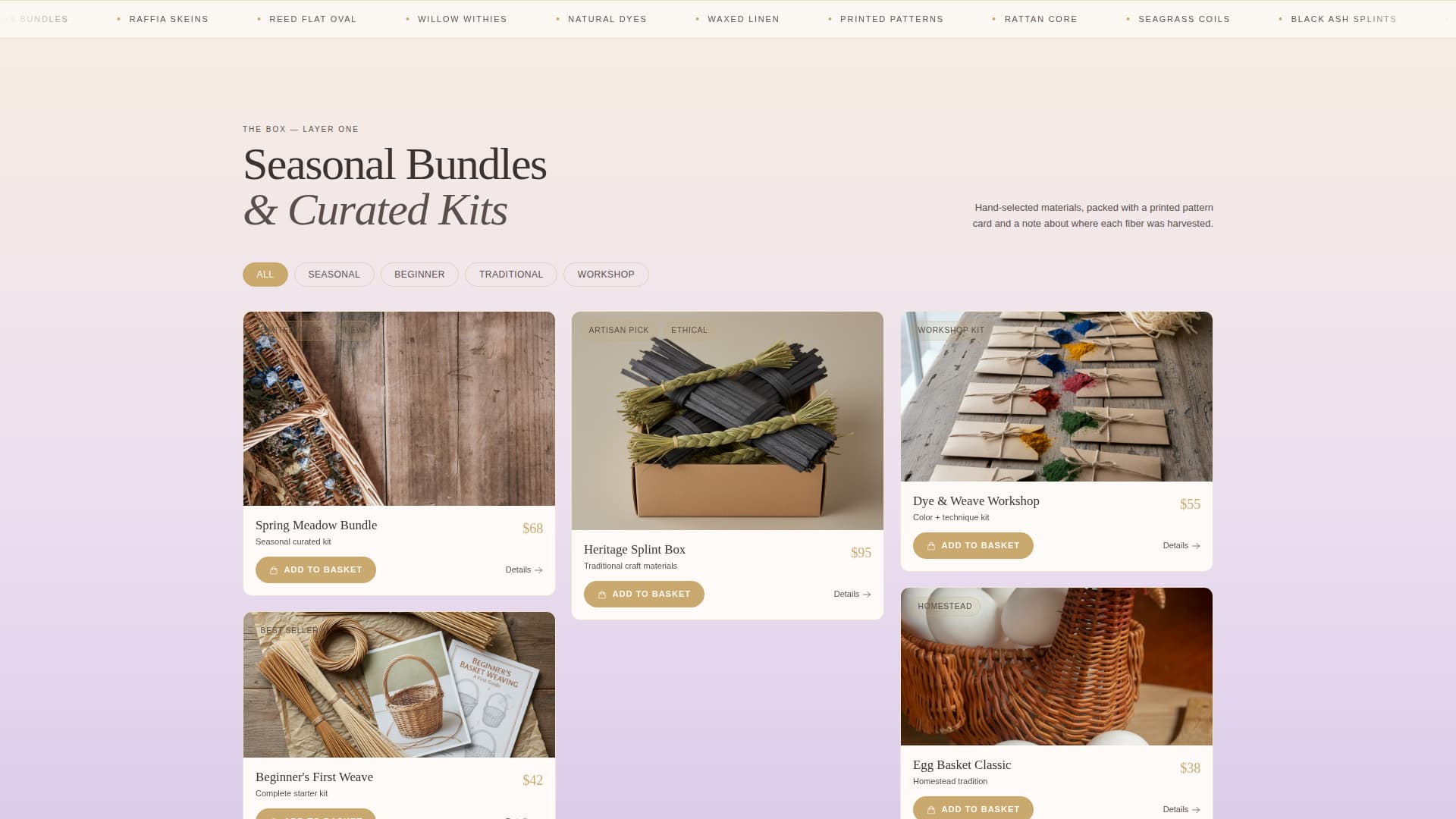 Advanced Hobby & Passion Supplies Pre-Launch & Coming Soon Website Template