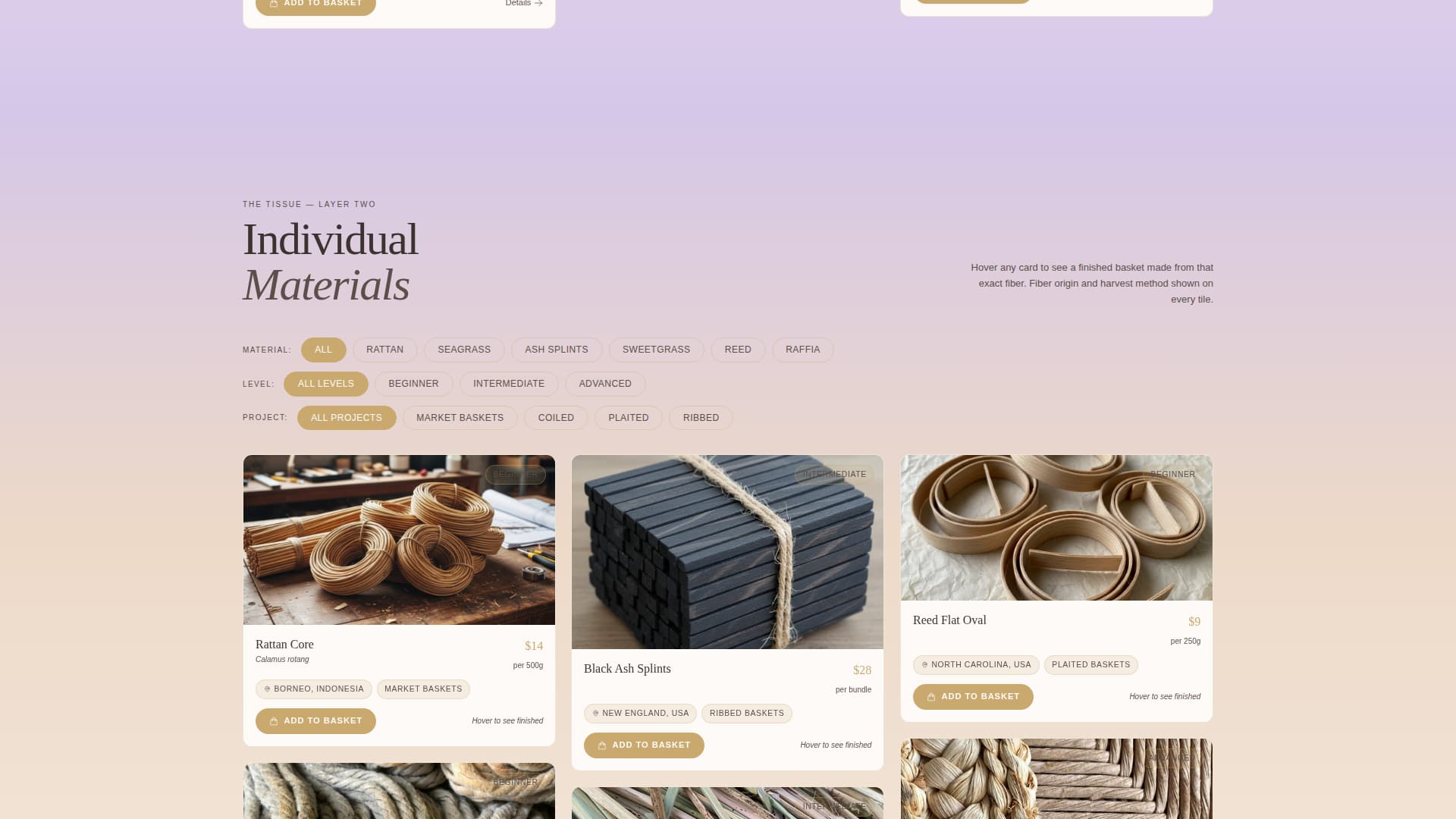 Advanced Hobby & Passion Supplies Pre-Launch & Coming Soon Website Template