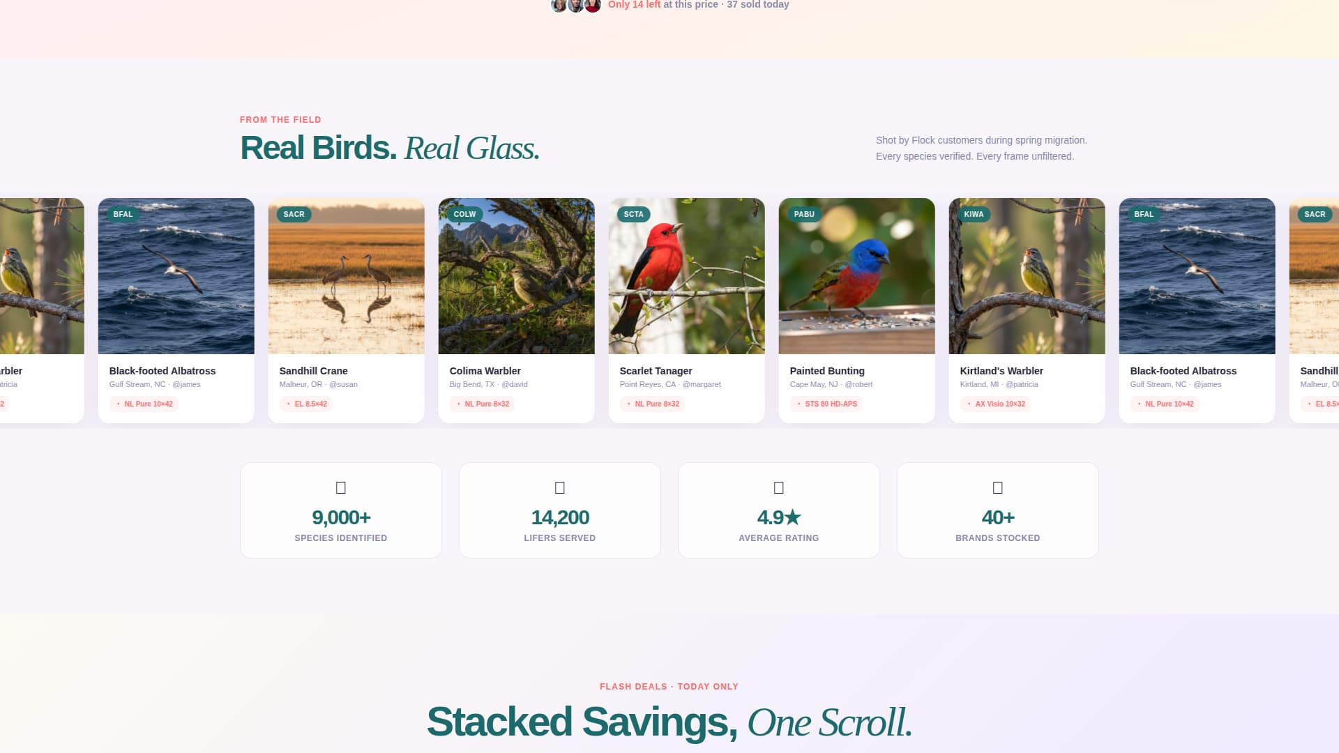 Expert Hobby & Passion Supplies Pre-Launch & Coming Soon Website Template