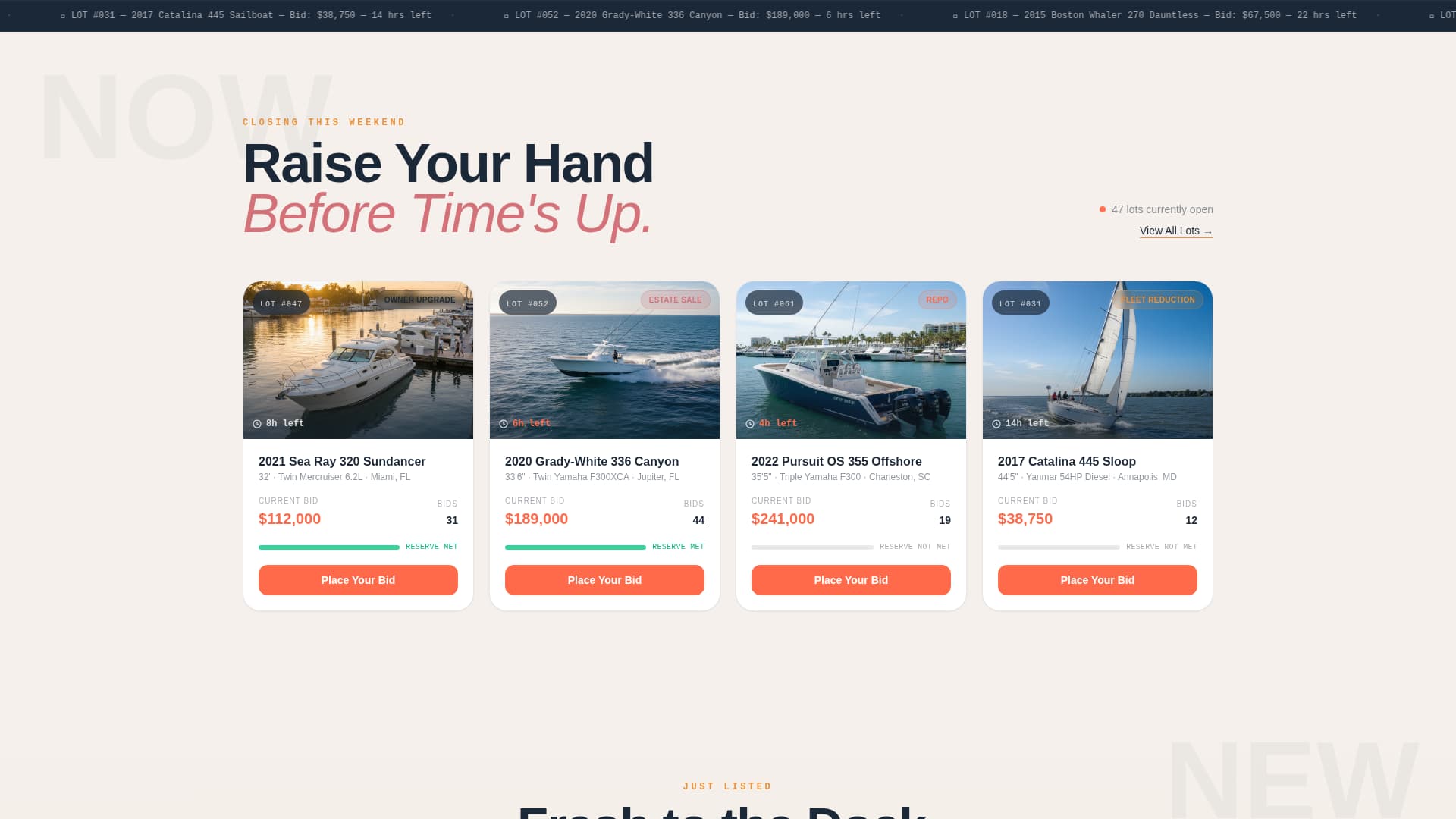 Specialist Auction Platforms & Types Pre-Launch & Coming Soon Website Template
