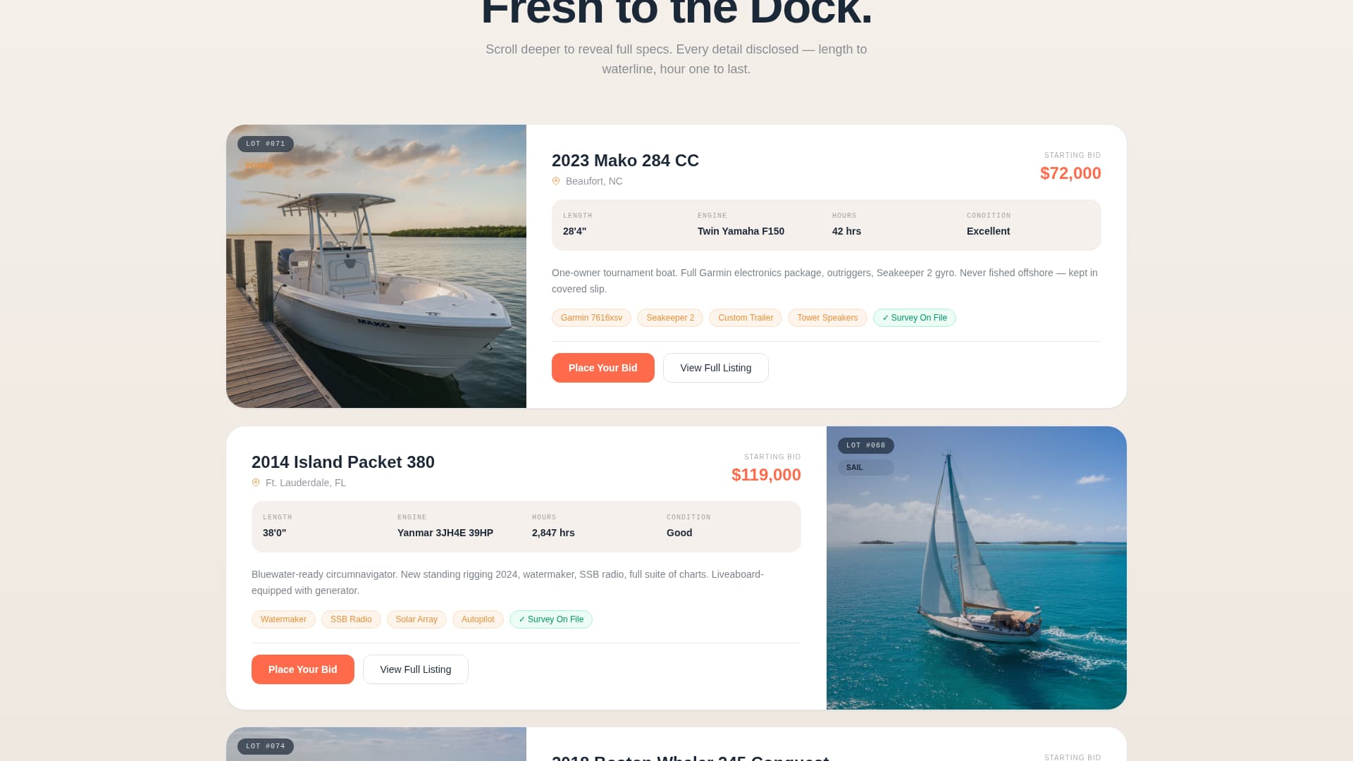 Specialist Auction Platforms & Types Pre-Launch & Coming Soon Website Template