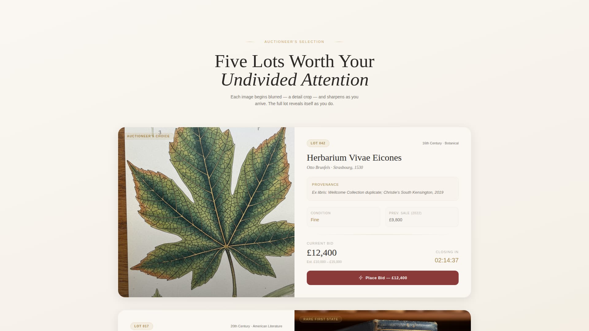 Specialist Auction Platforms & Types Professional Website Template