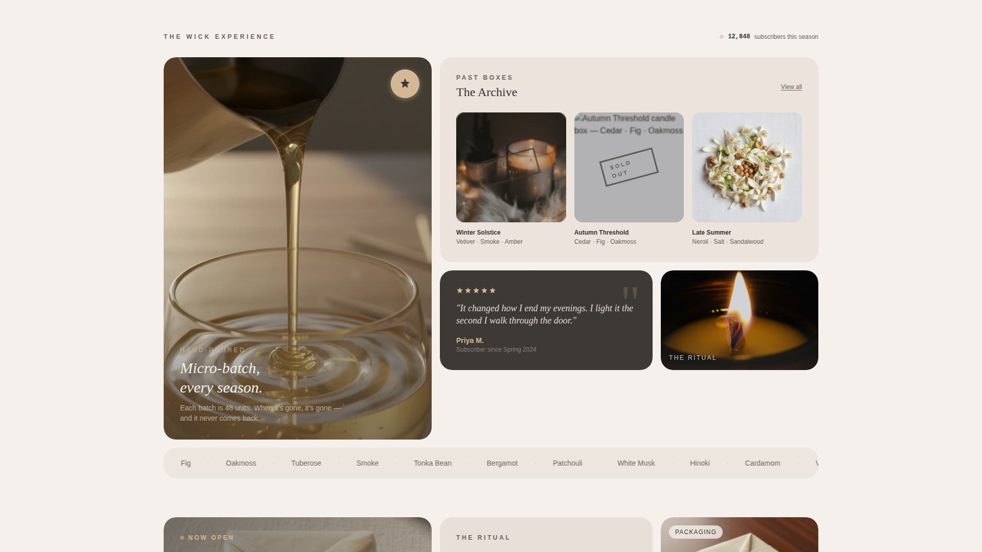 Advanced Subscription Box Services Professional Website Template