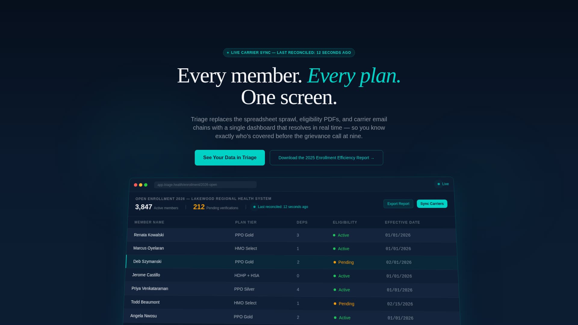 Healthcare Software Careers Website Template