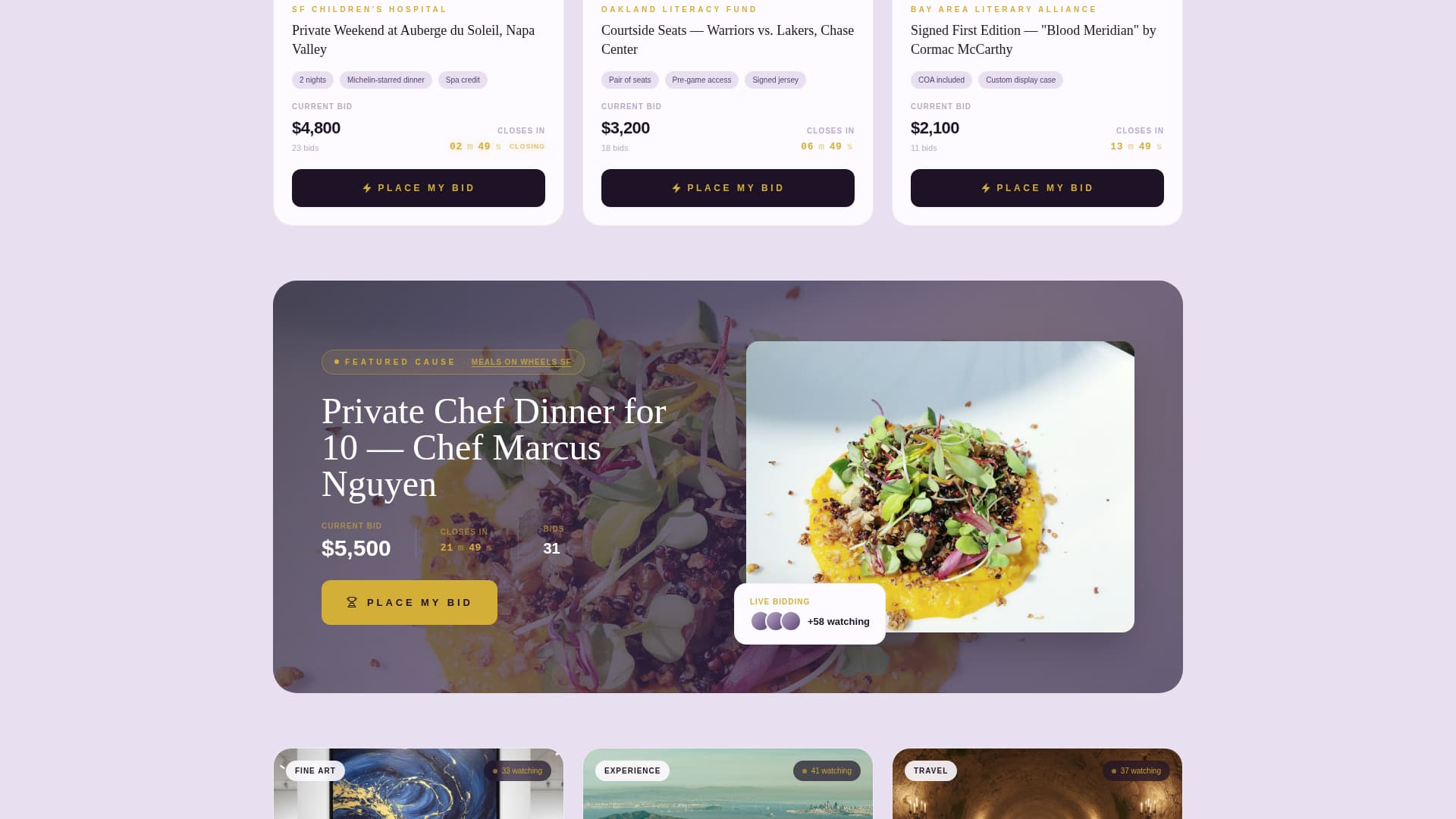 Advanced Auction Platforms & Types Pre-Launch & Coming Soon Website Template