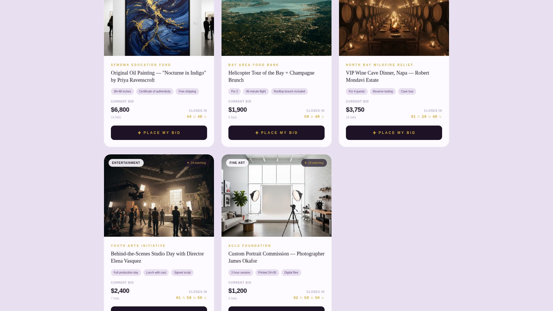 Advanced Auction Platforms & Types Pre-Launch & Coming Soon Website Template