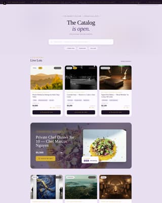 Advanced Auction Platforms & Types Pre-Launch & Coming Soon Website Template