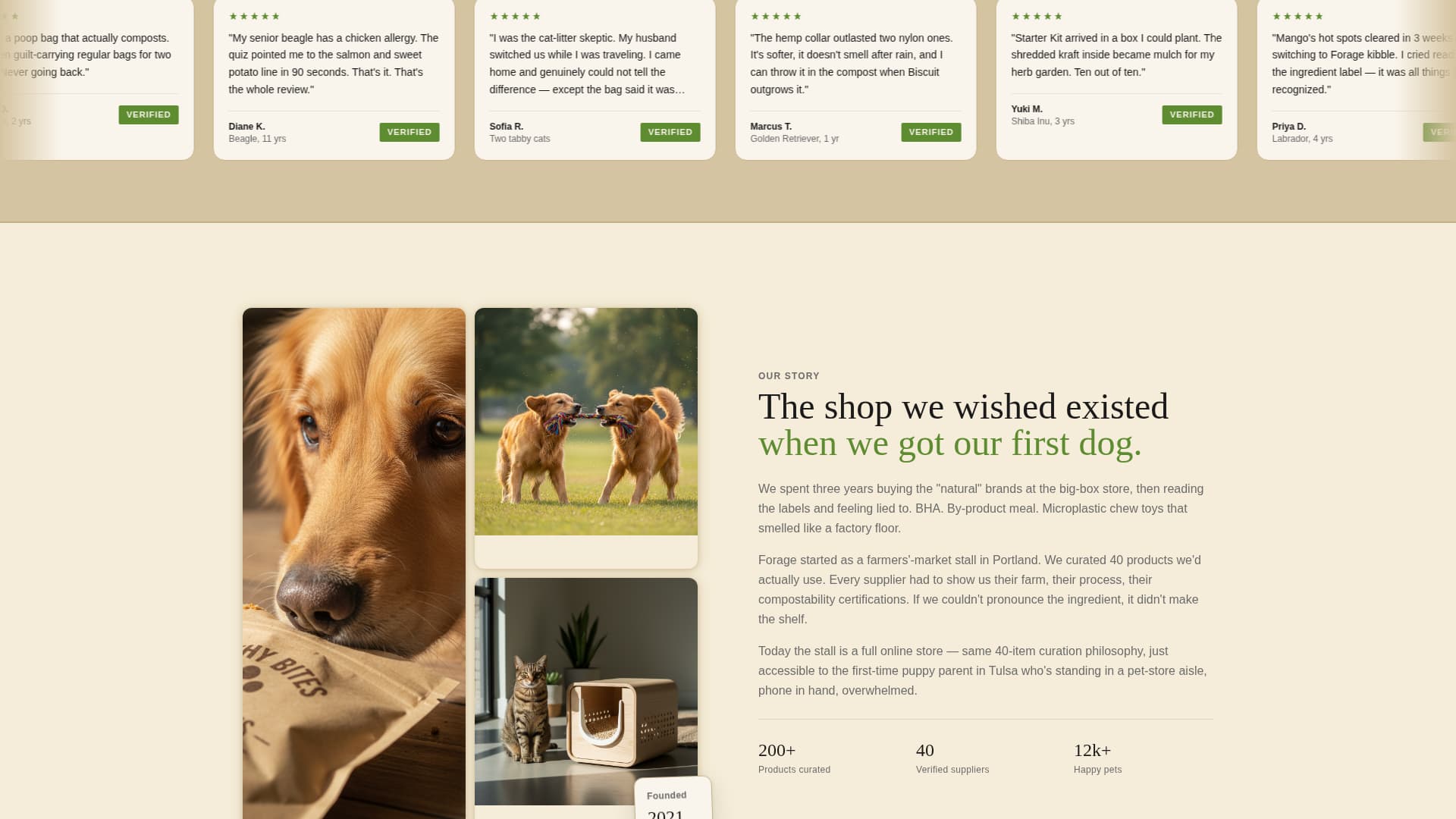 Eco-Friendly Business Specialist Professional Website Template