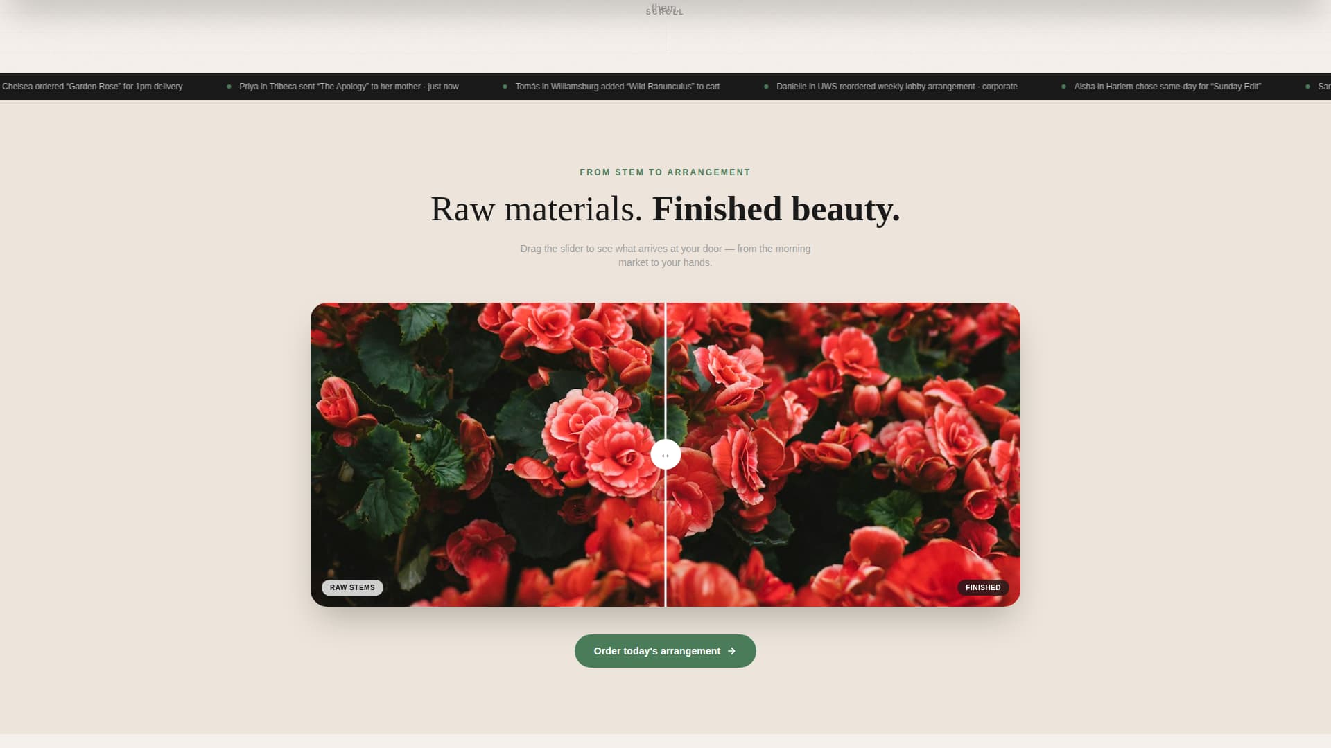 Florist & Plant Shop Professional Website Template